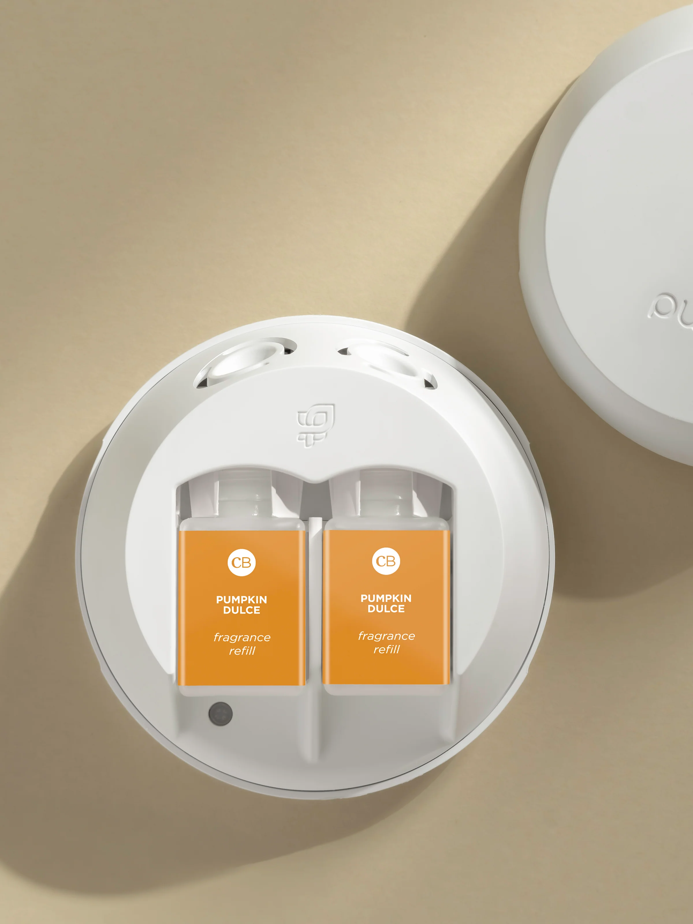 Pumpkin Dulce 3 Pumpkin Dulce