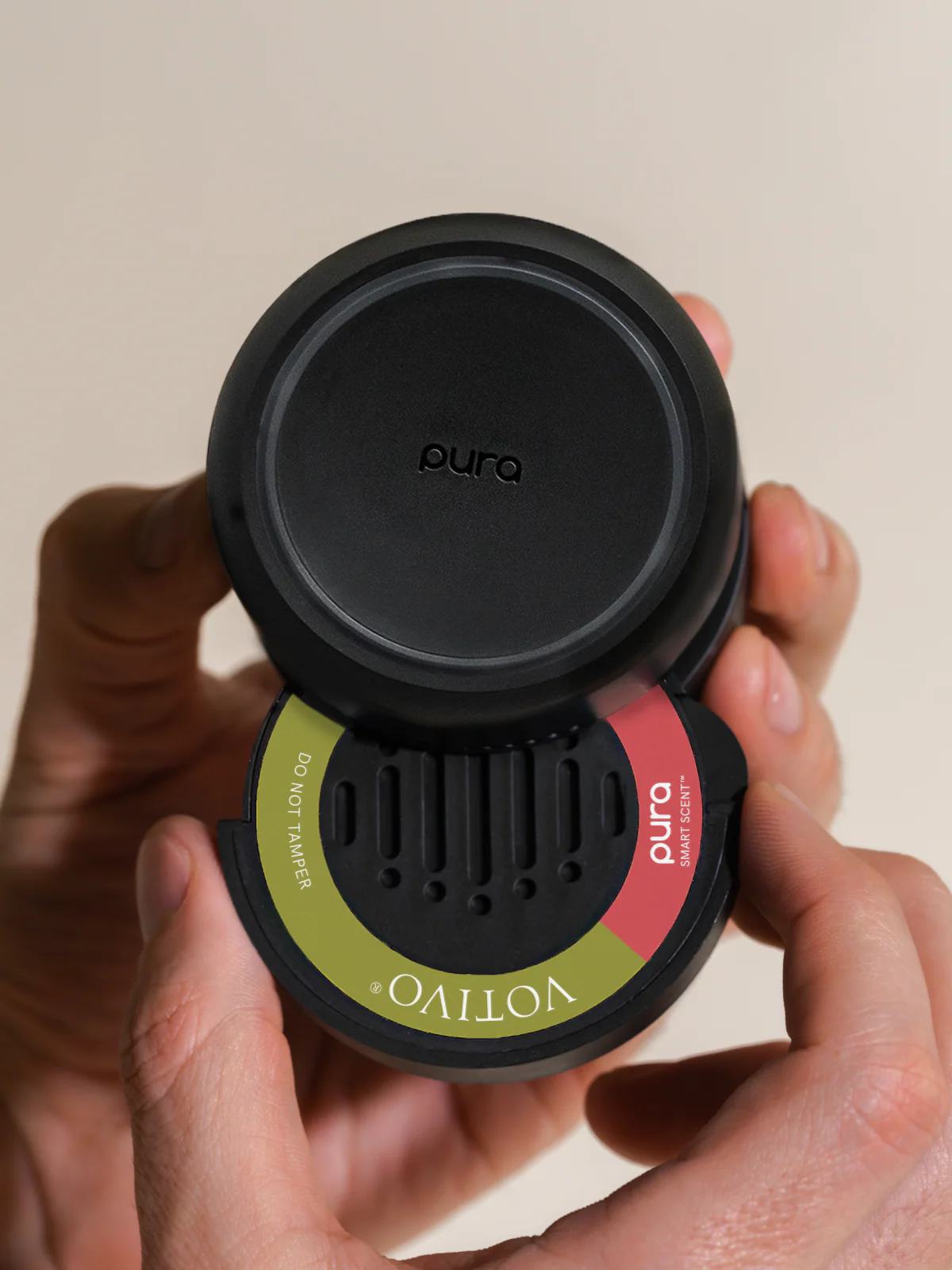 Red Currant 3 Red Currant