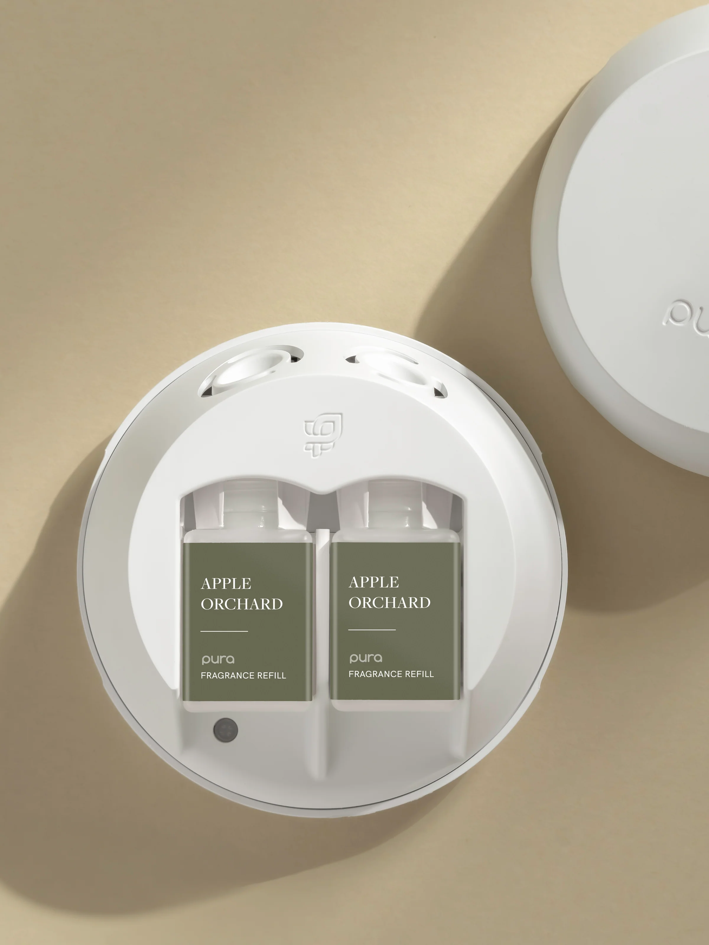 Apple Orchard 3 Apple Orchard