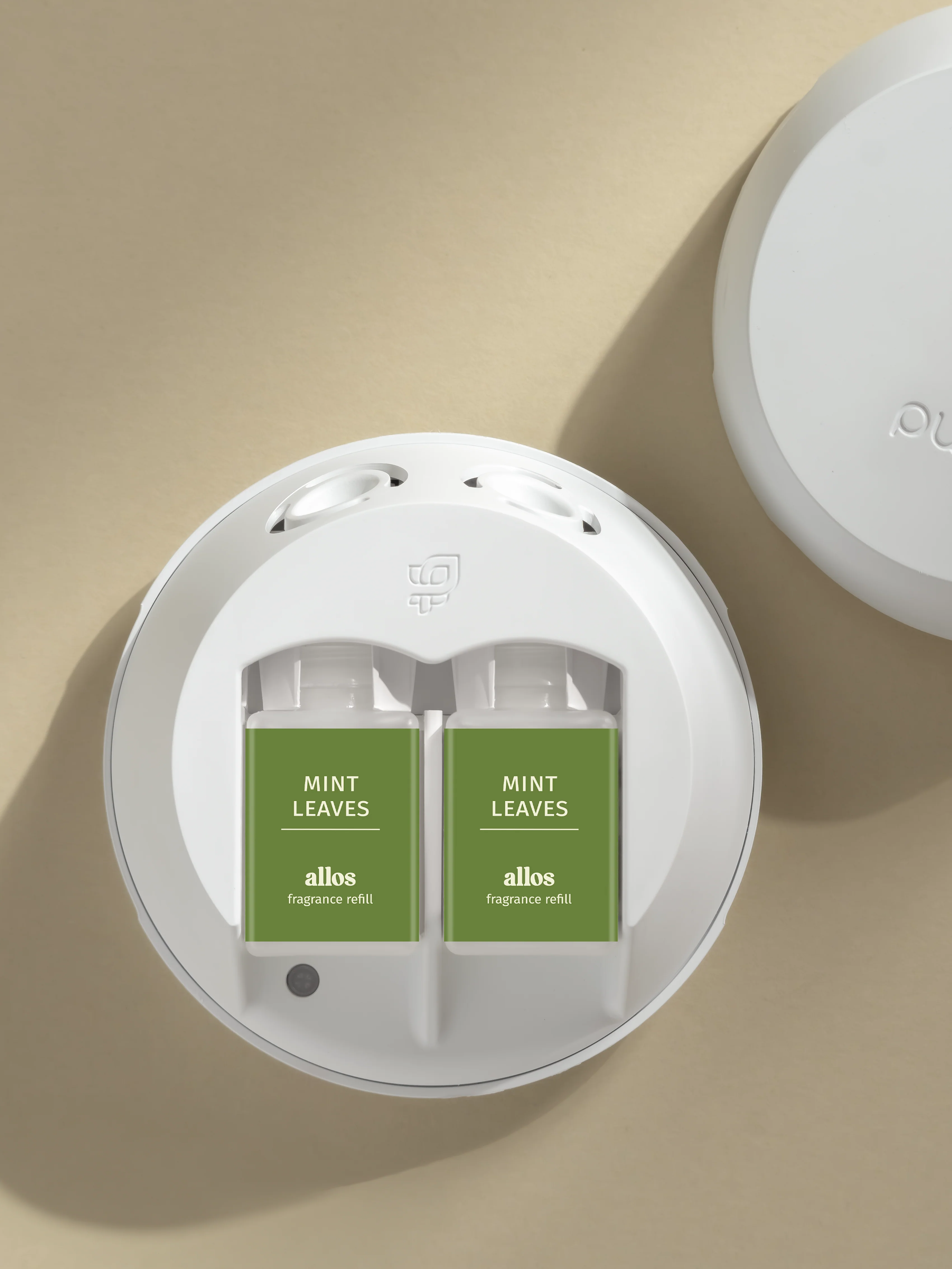 Mint Leaves 3 Mint Leaves