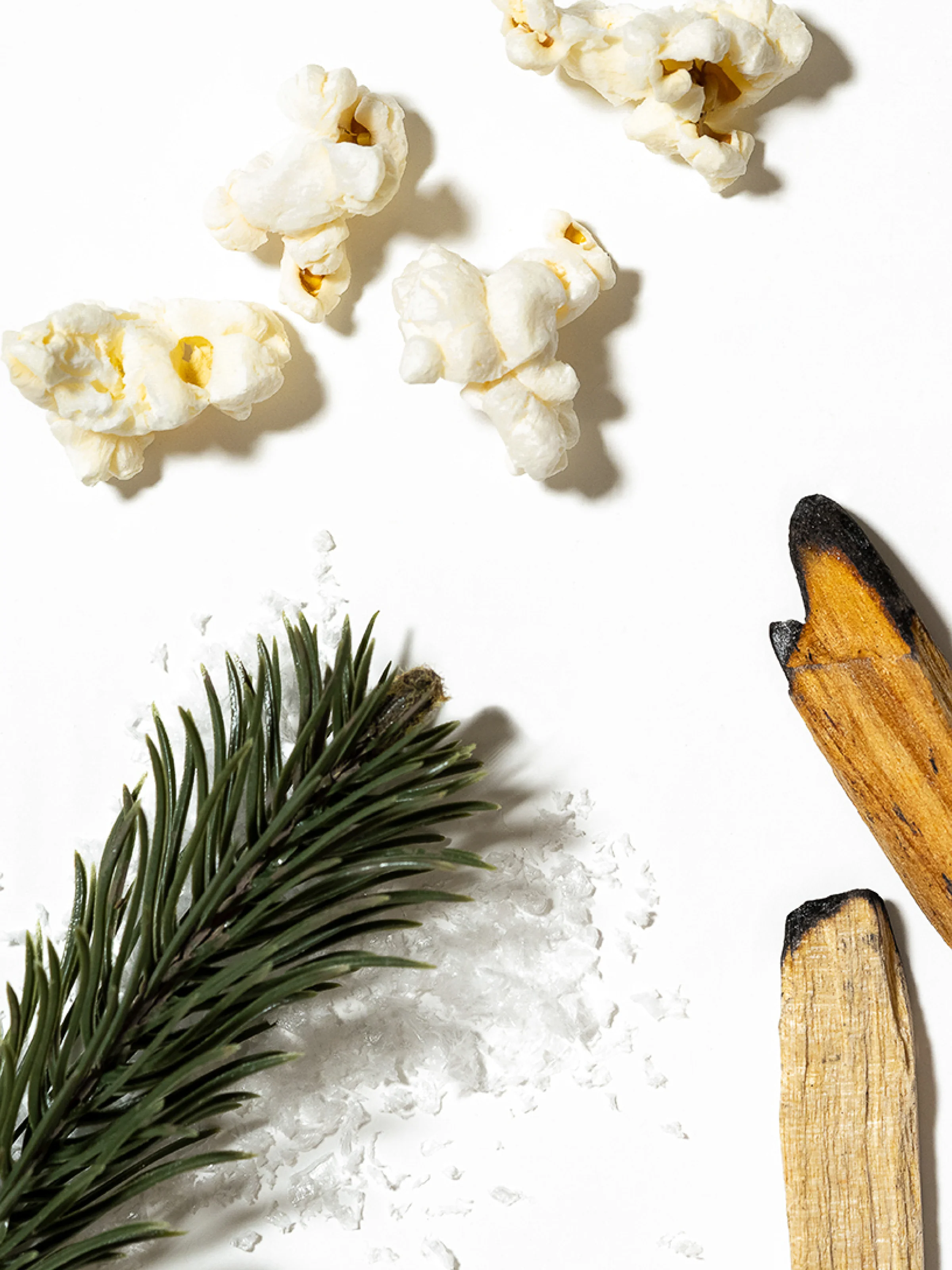 Mickey Christmas Fireside Feeling