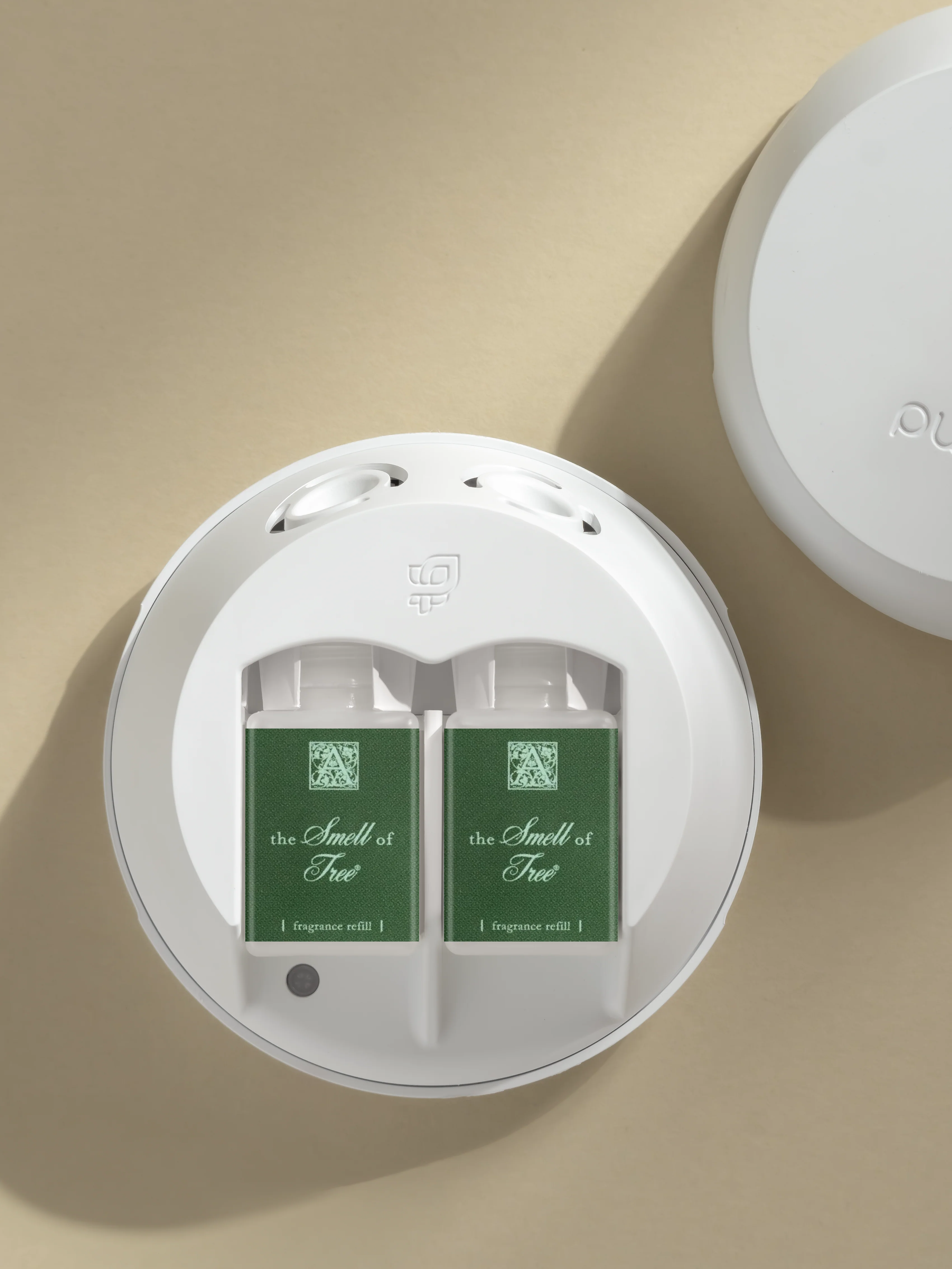 The Smell of Tree 3 The Smell of Tree