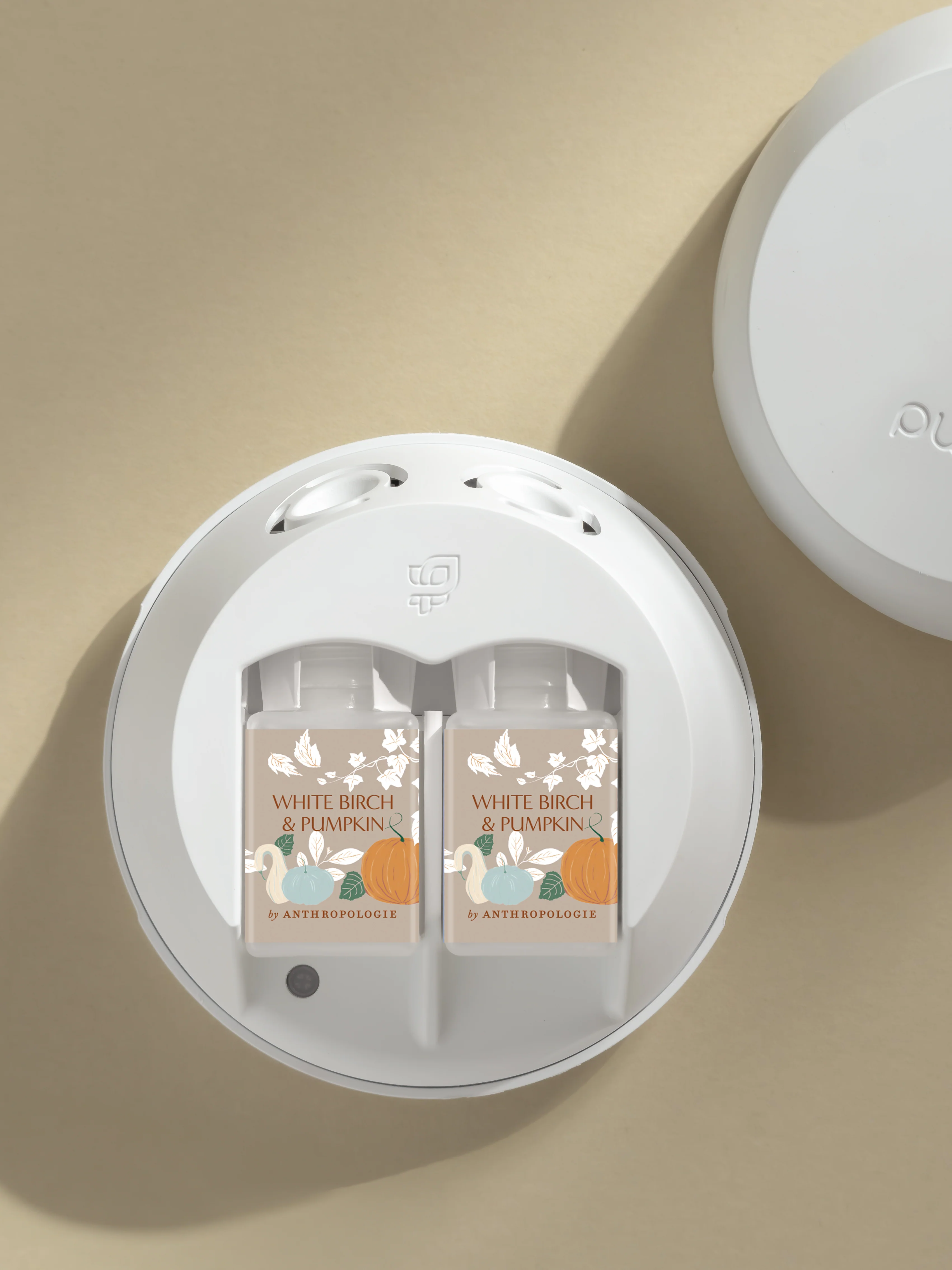 White Birch & Pumpkin 3 White Birch & Pumpkin