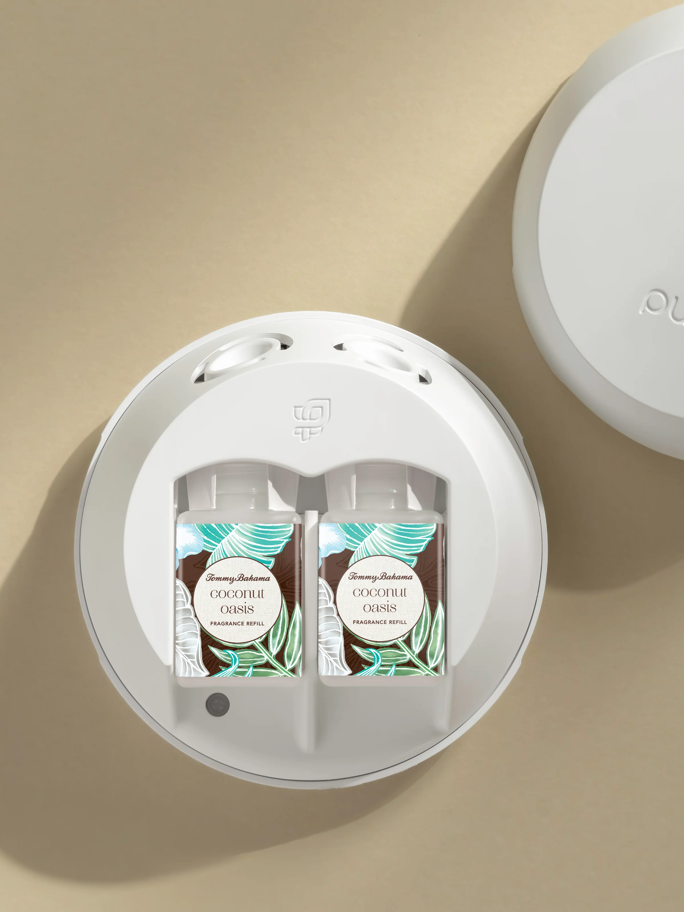 Coconut Oasis 3 Coconut Oasis