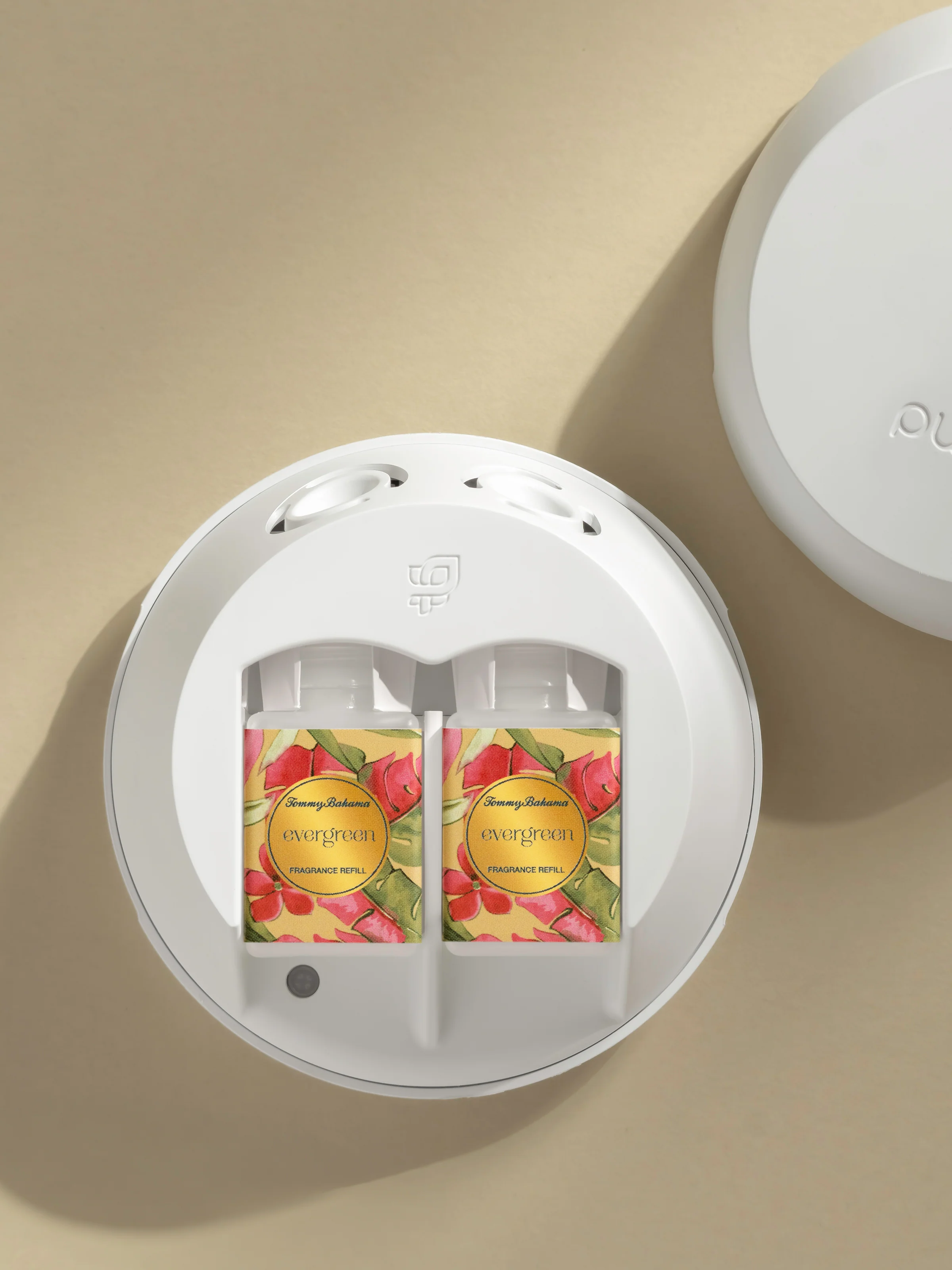 Evergreen 3 Evergreen