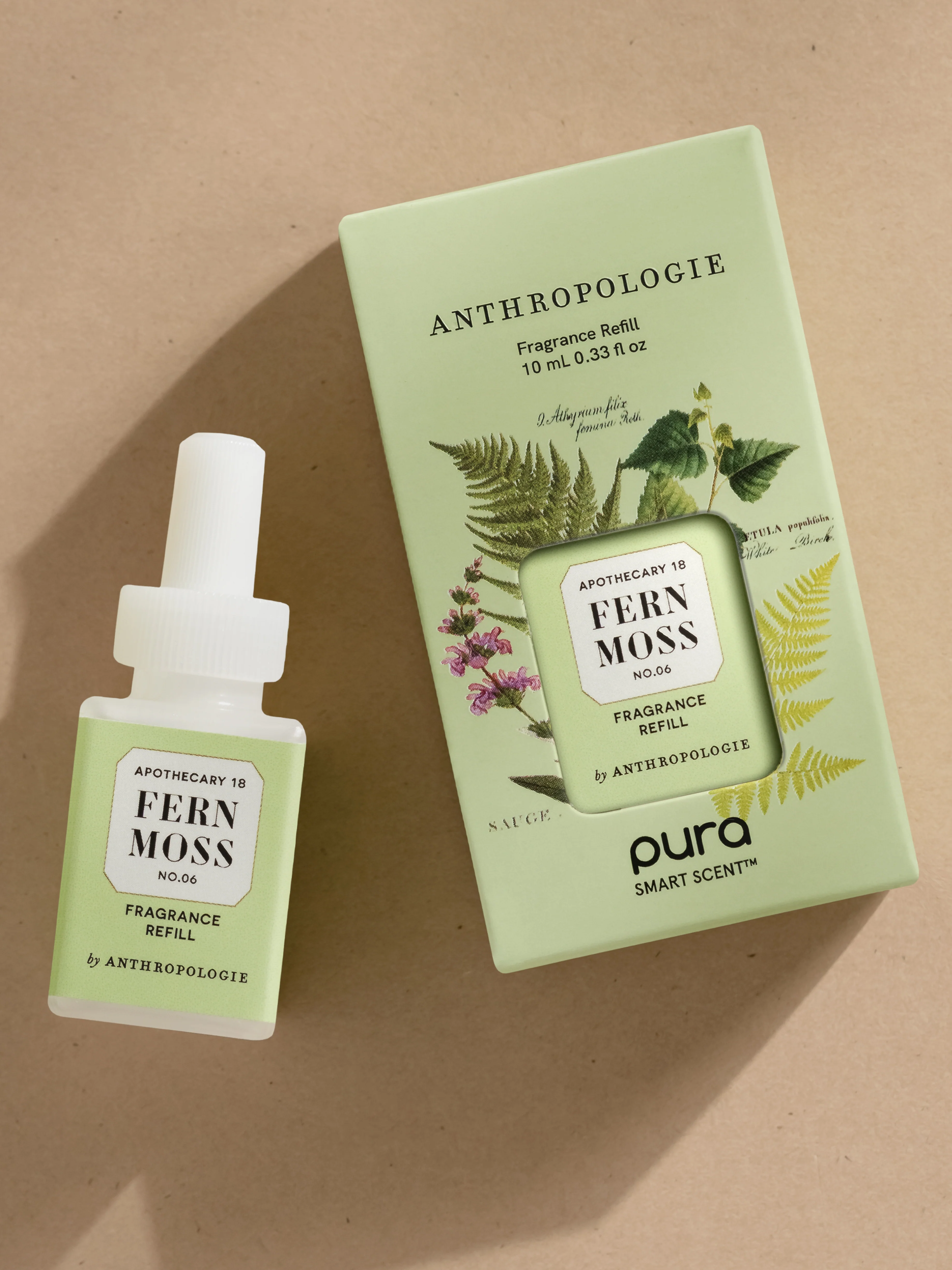 Fern Moss 4 Fern Moss