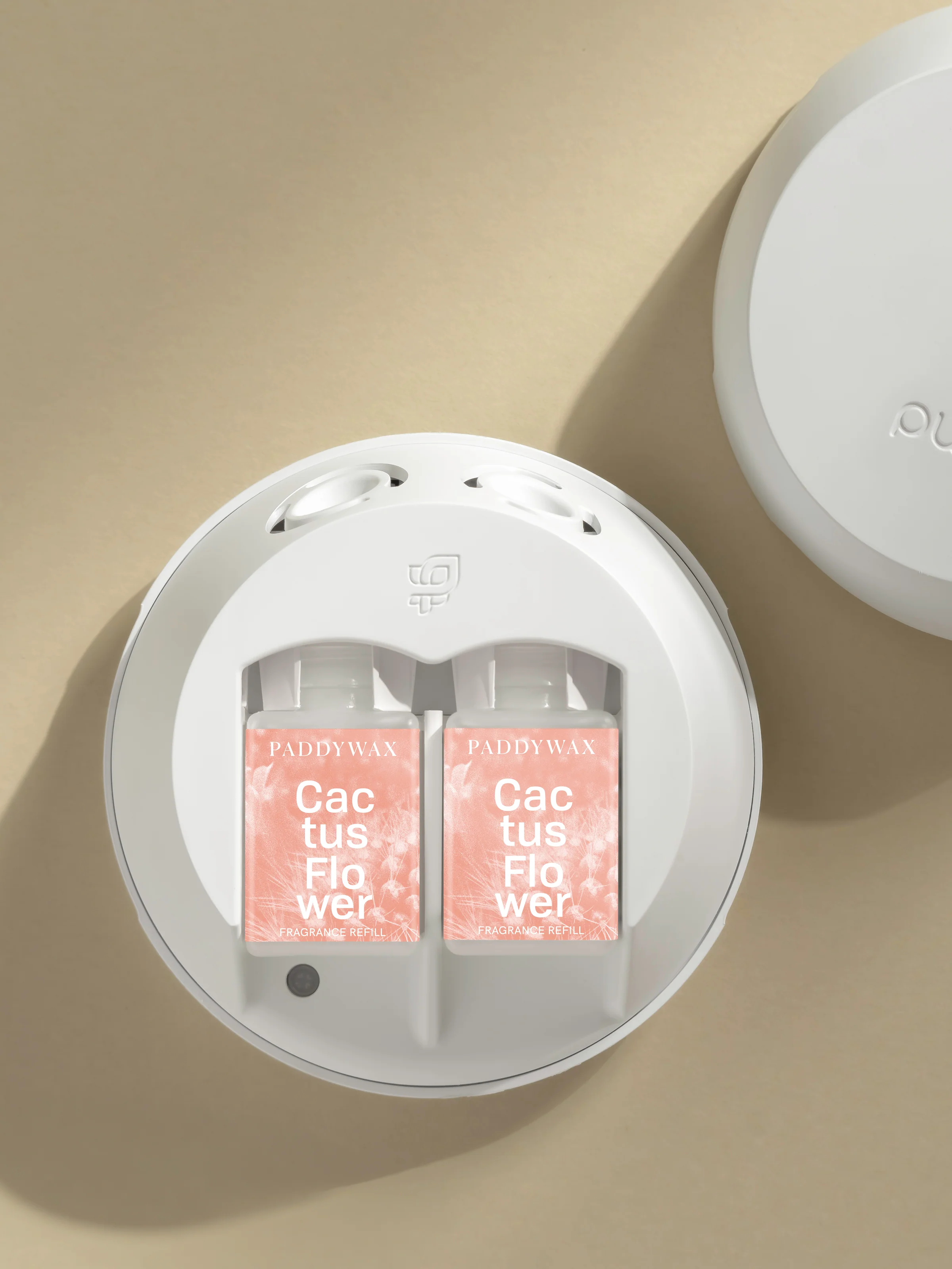 Cactus Flower 3 Cactus Flower