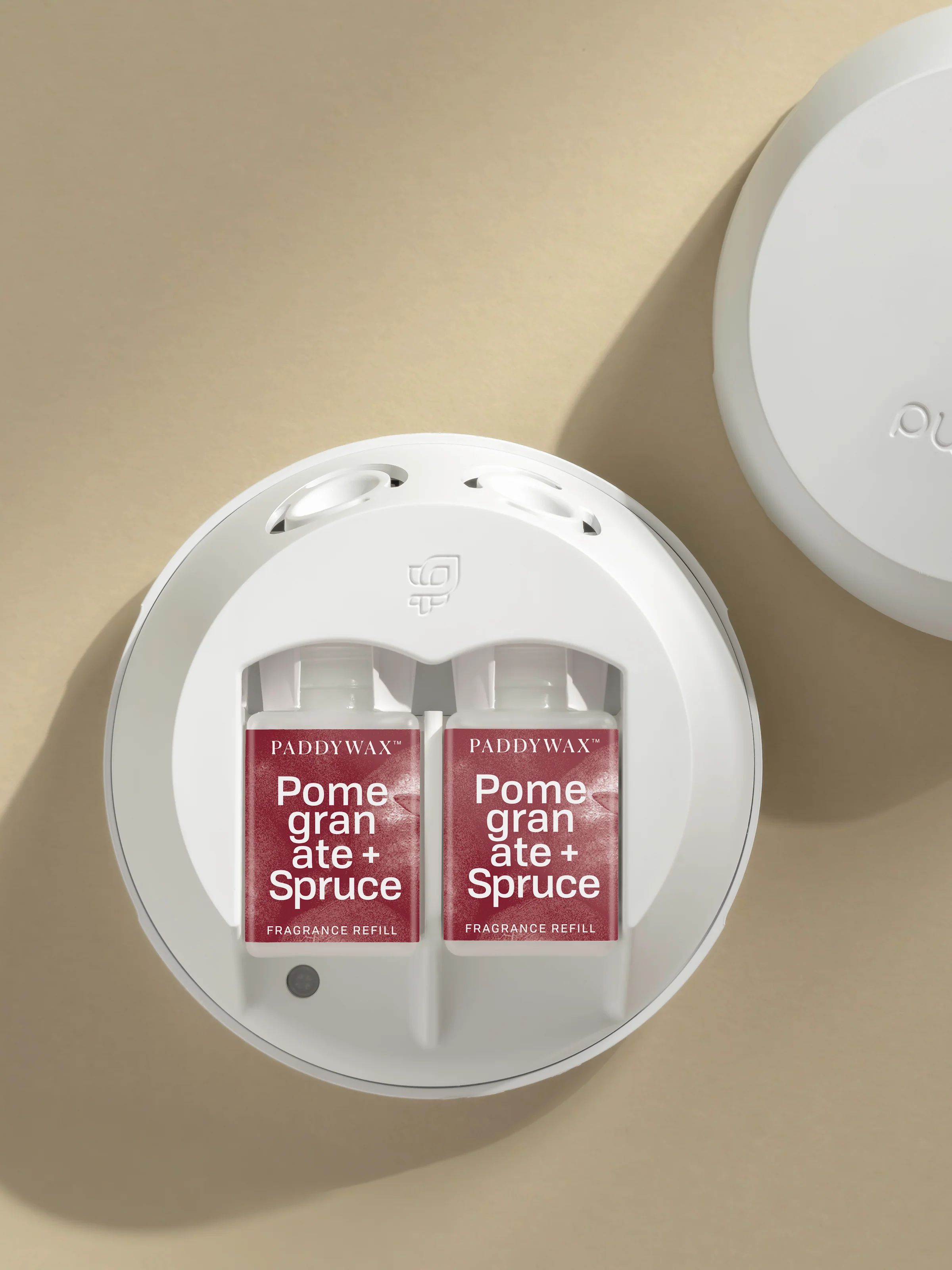 Pomegranate + Spruce 3 Pomegranate + Spruce