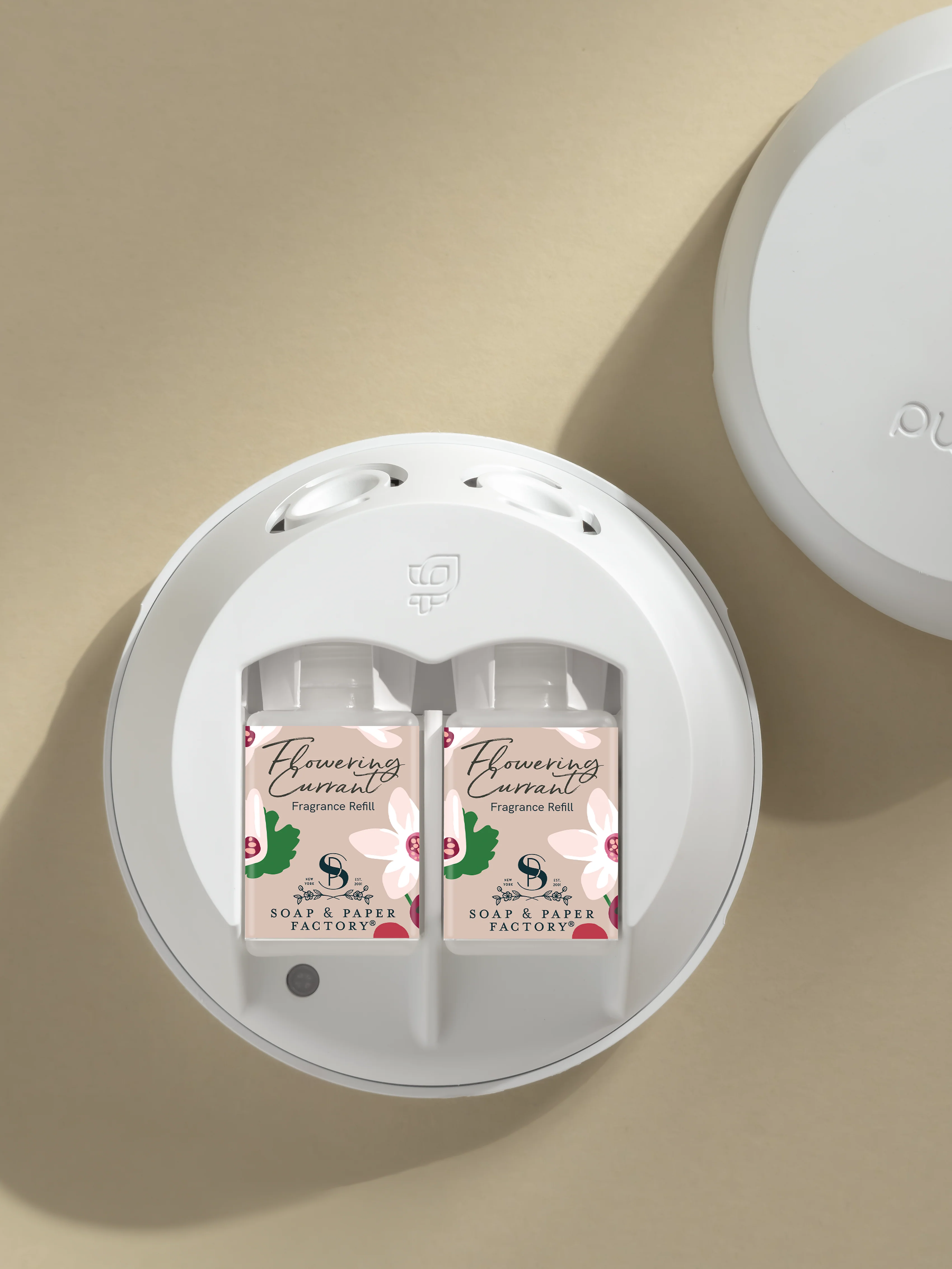 Flowering Currant 3 Flowering Currant