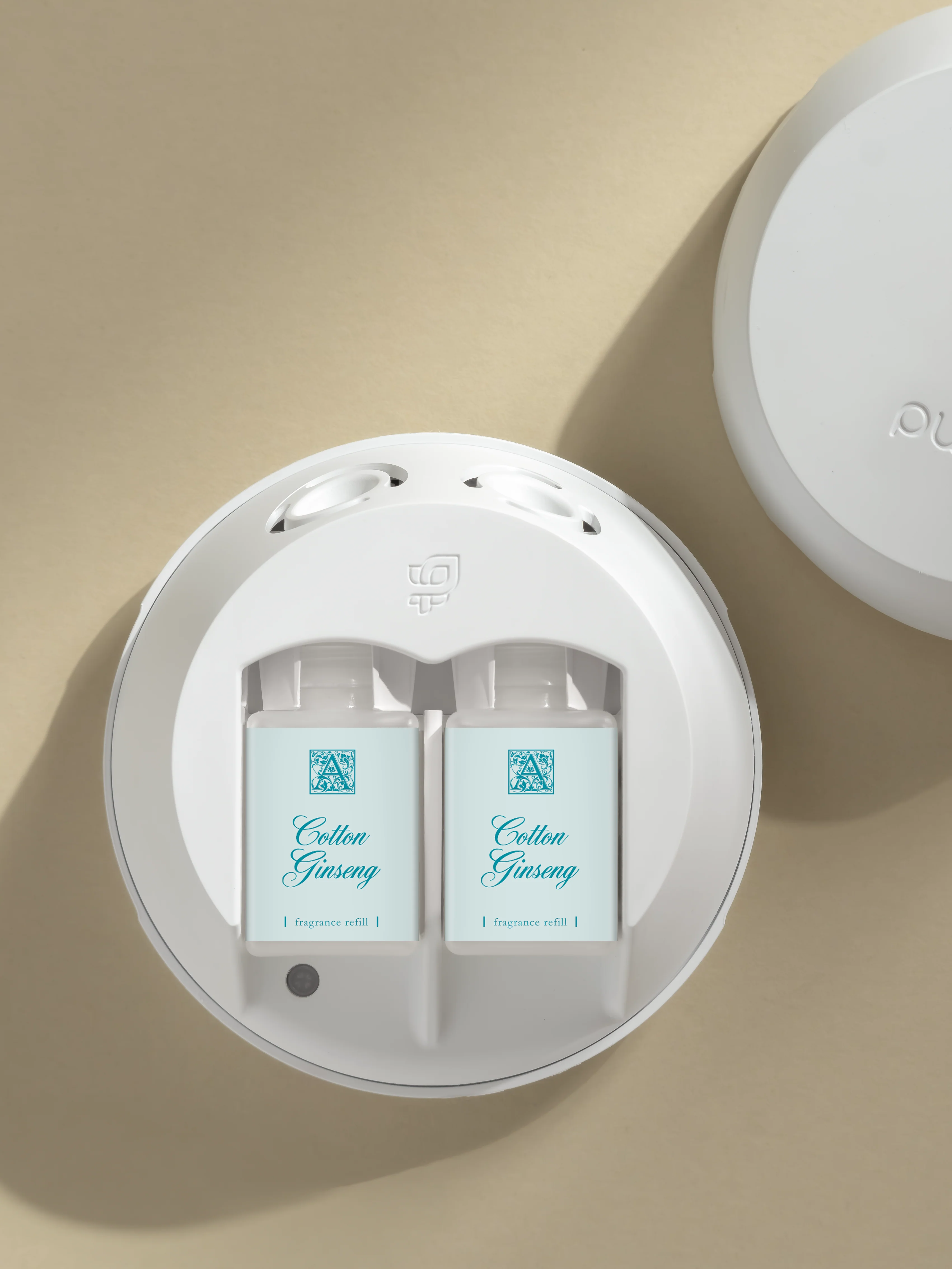 Cotton Ginseng 3 Cotton Ginseng