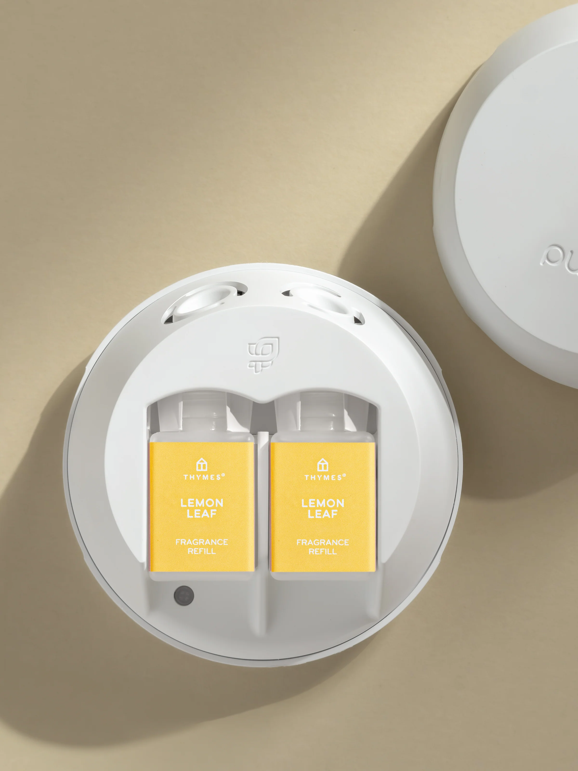 Lemon Leaf 3 Lemon Leaf