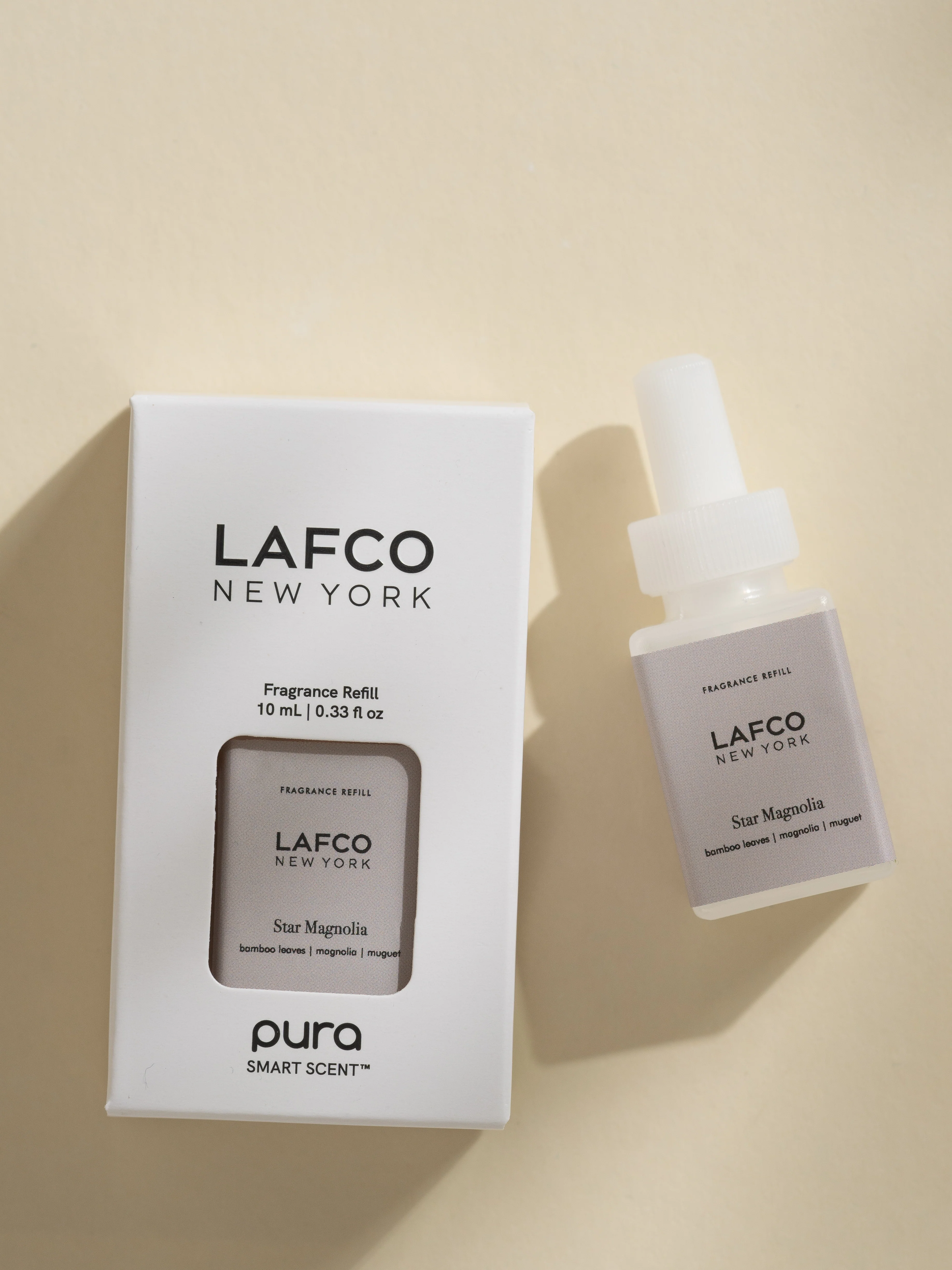 Star Magnolia 4 Star Magnolia