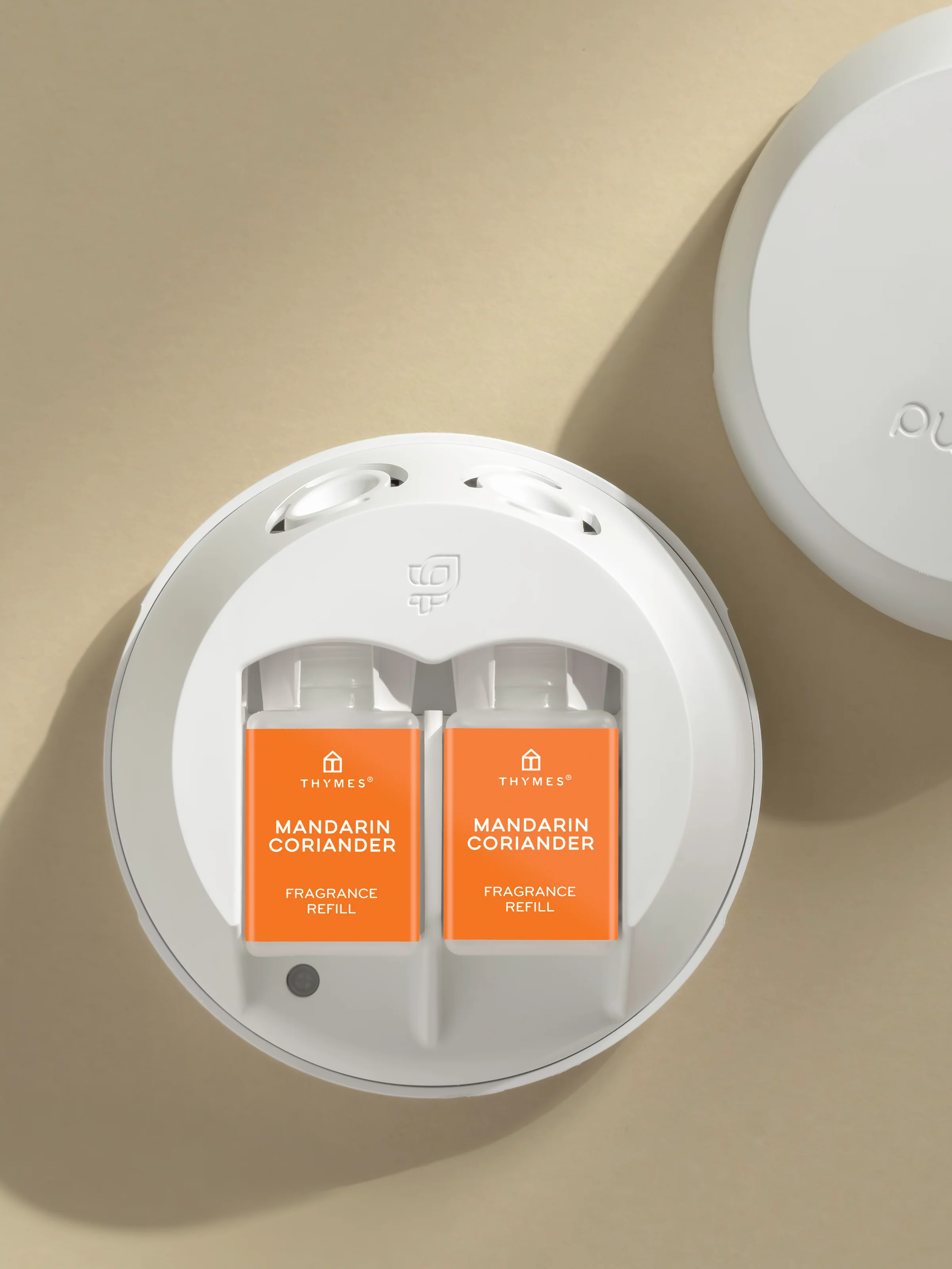 Mandarin Coriander 3 Mandarin Coriander