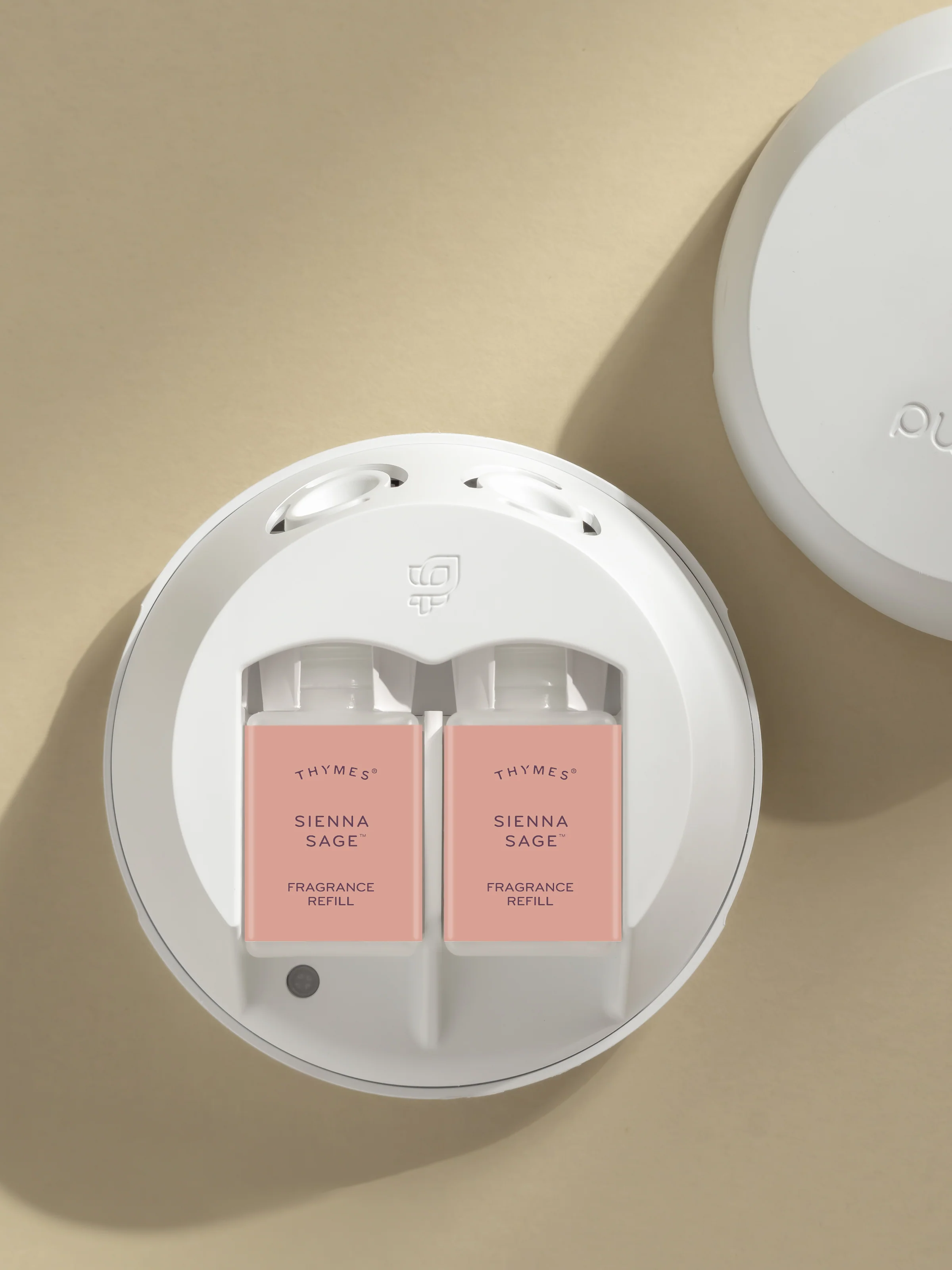 Sienna Sage 3 Sienna Sage