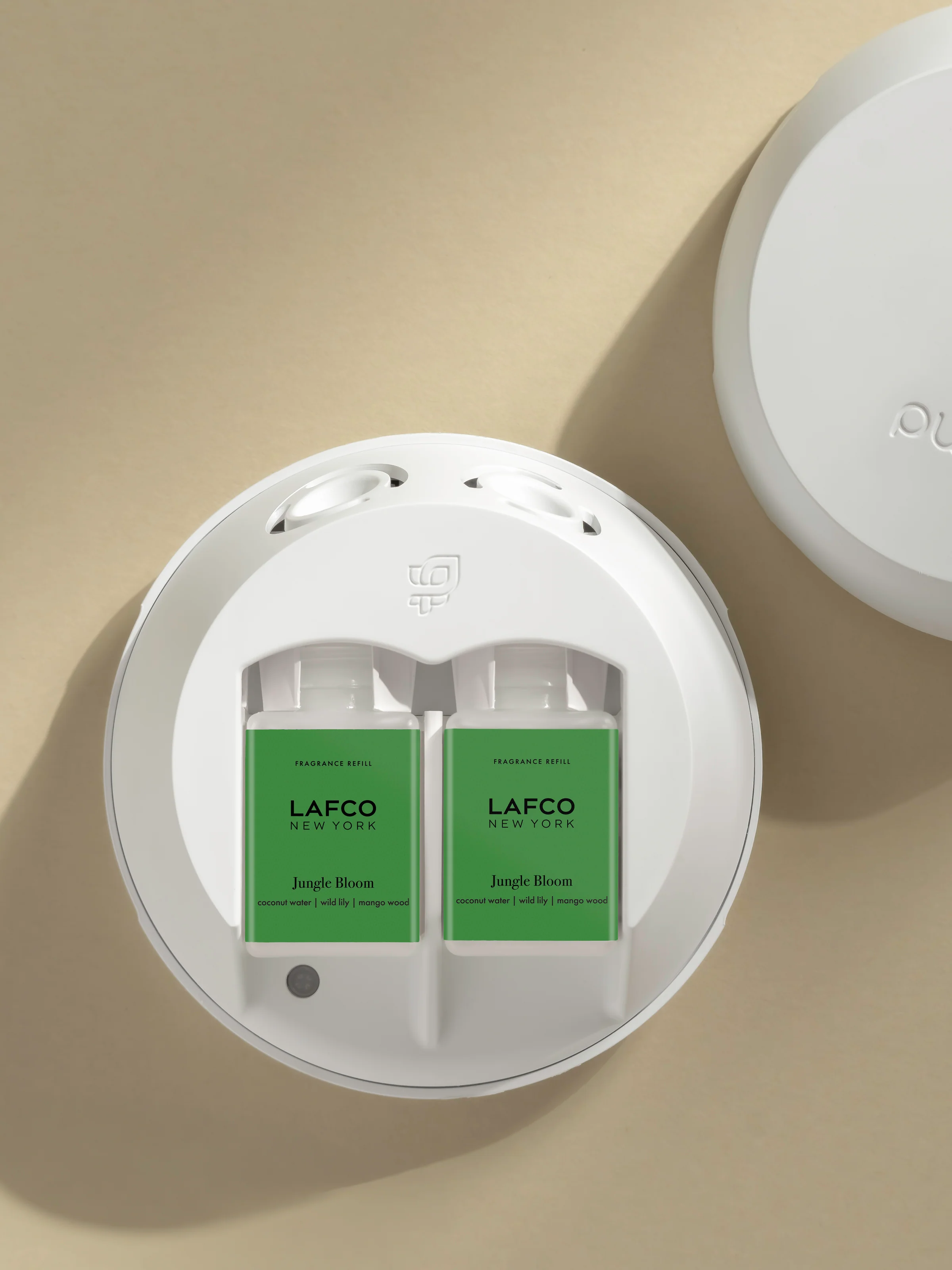 Jungle Bloom 3 Jungle Bloom