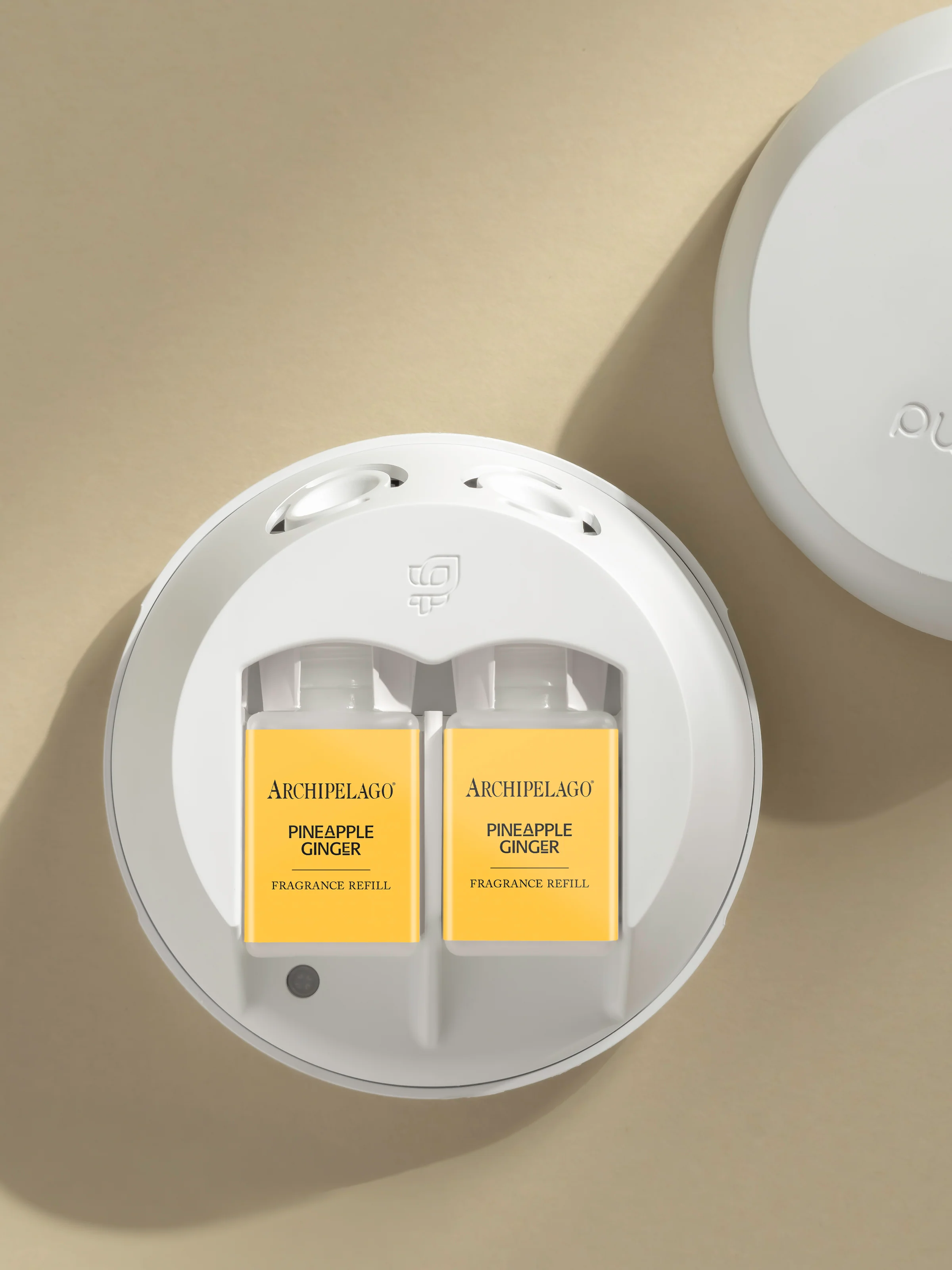 Pineapple Ginger 3 Pineapple Ginger