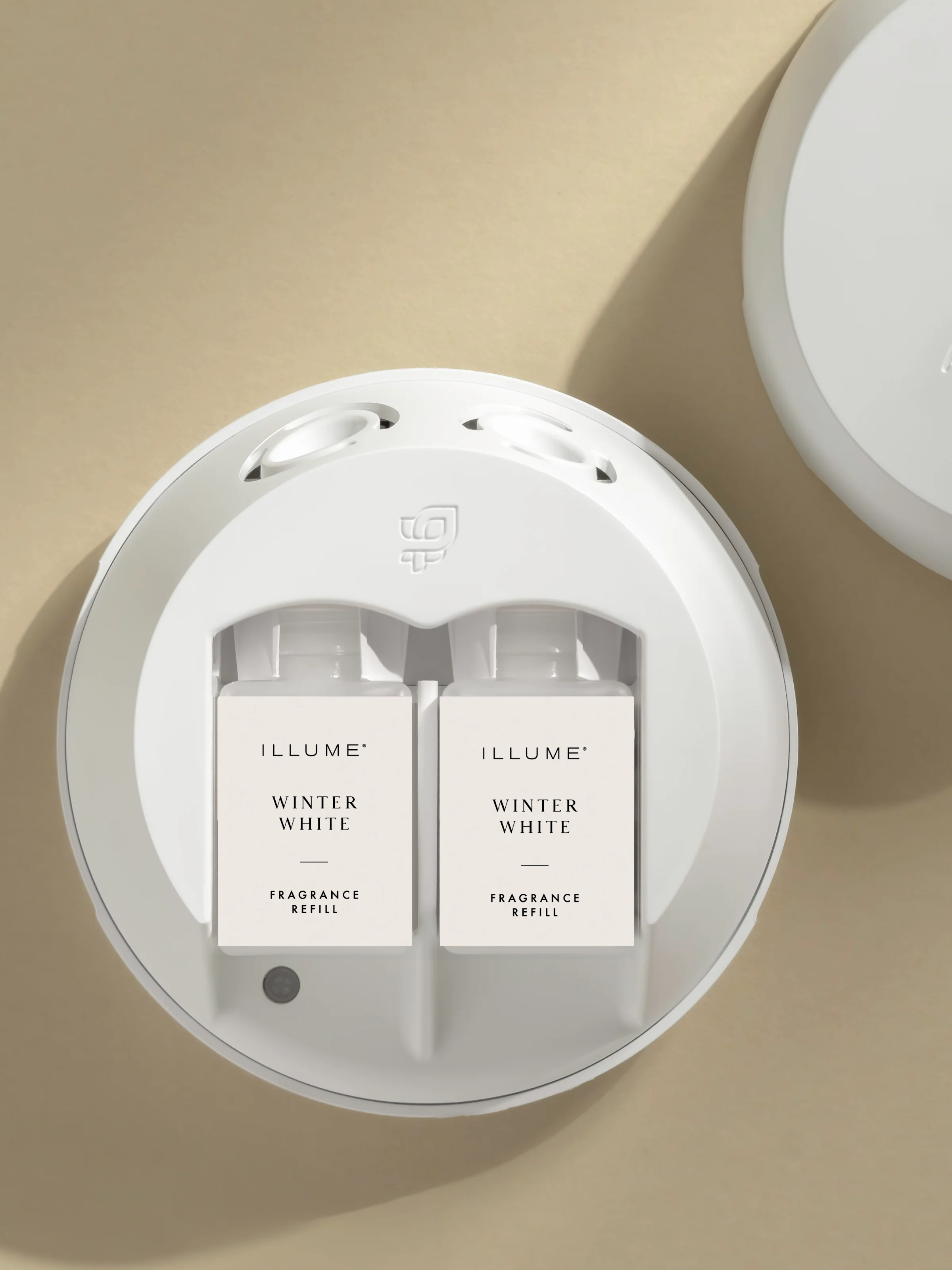 Winter White 3 Winter White