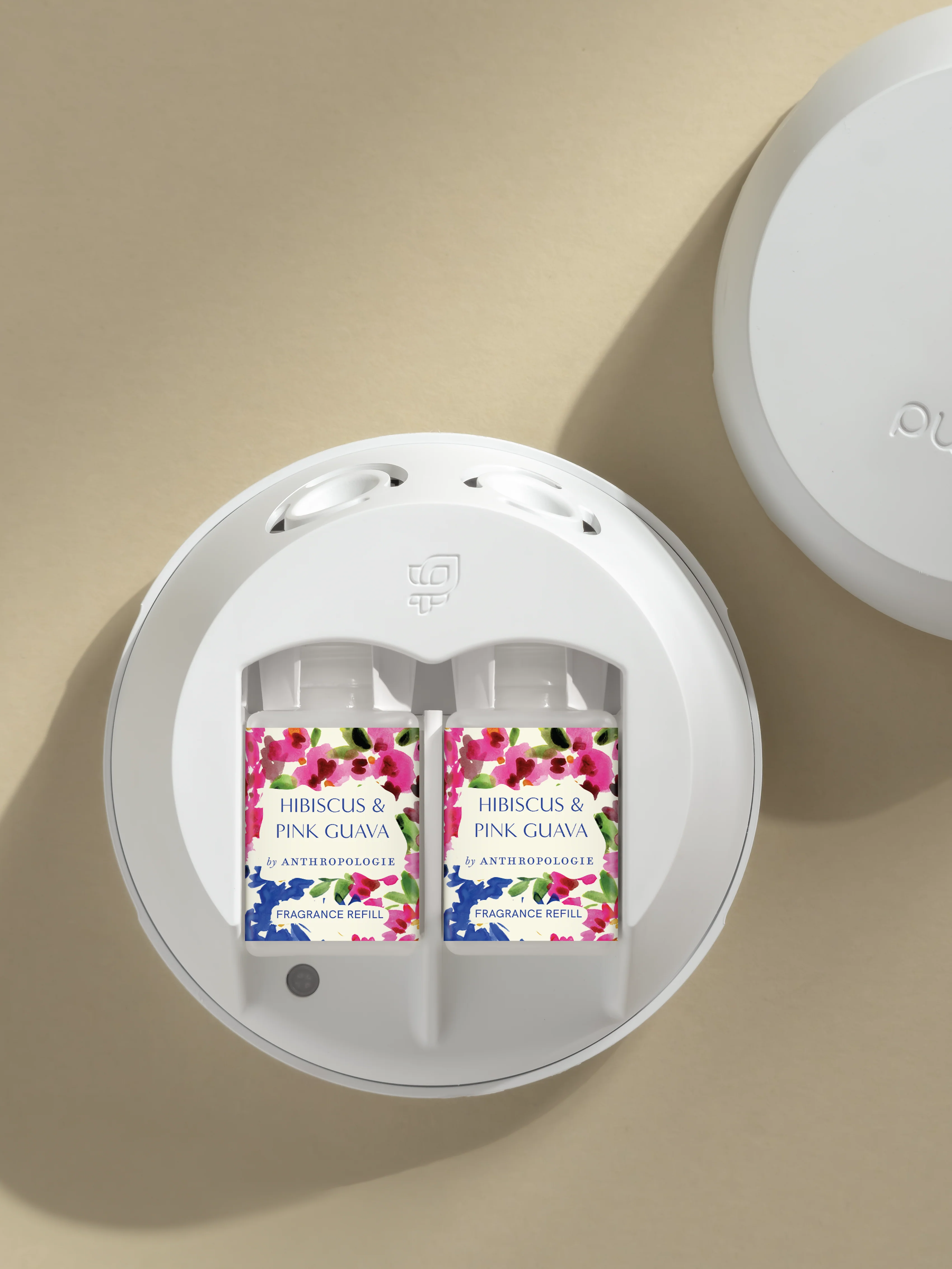 Hibiscus & Pink Guava 3 Hibiscus & Pink Guava