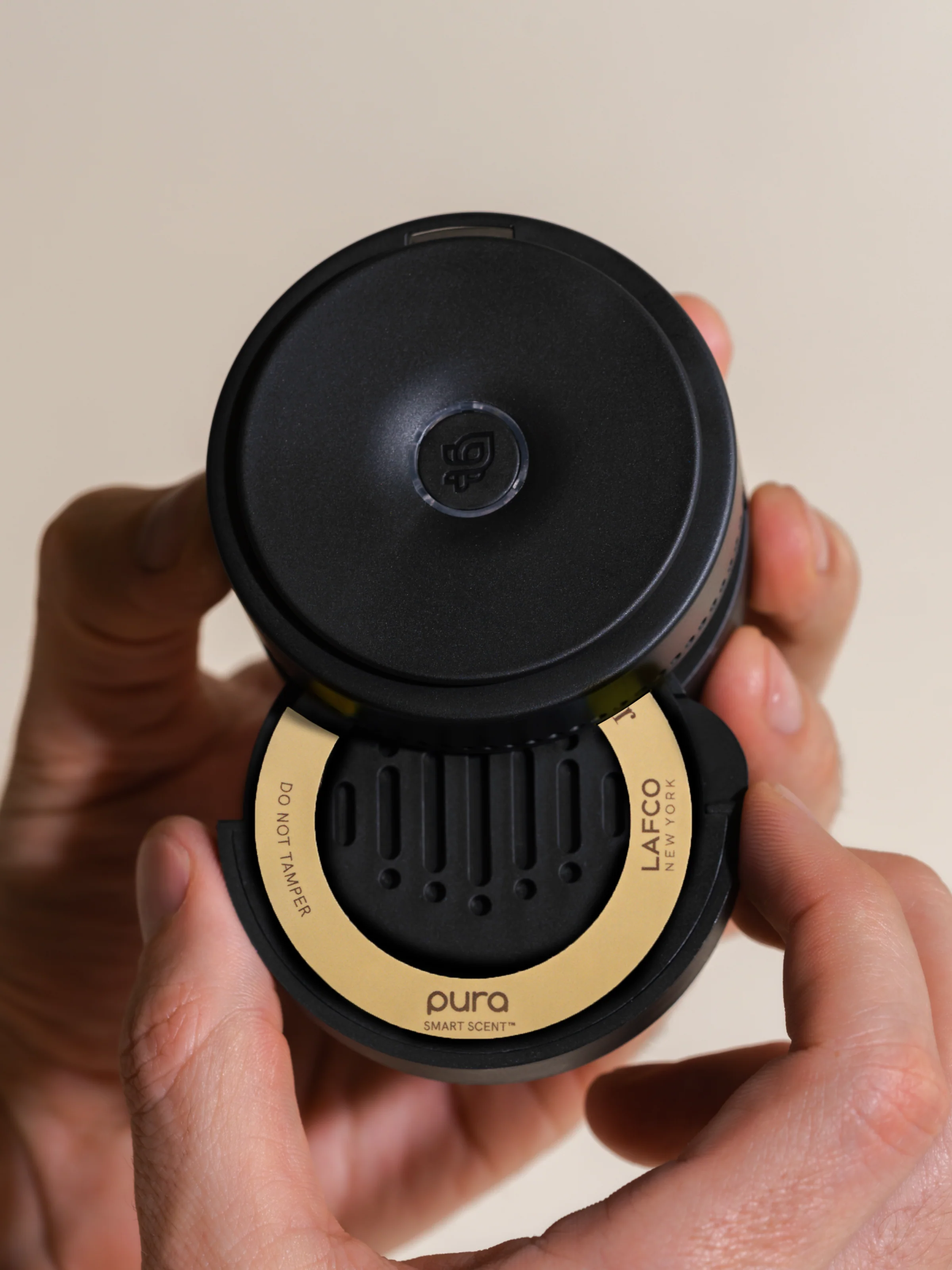 Chamomile Lavender 3 Chamomile Lavender