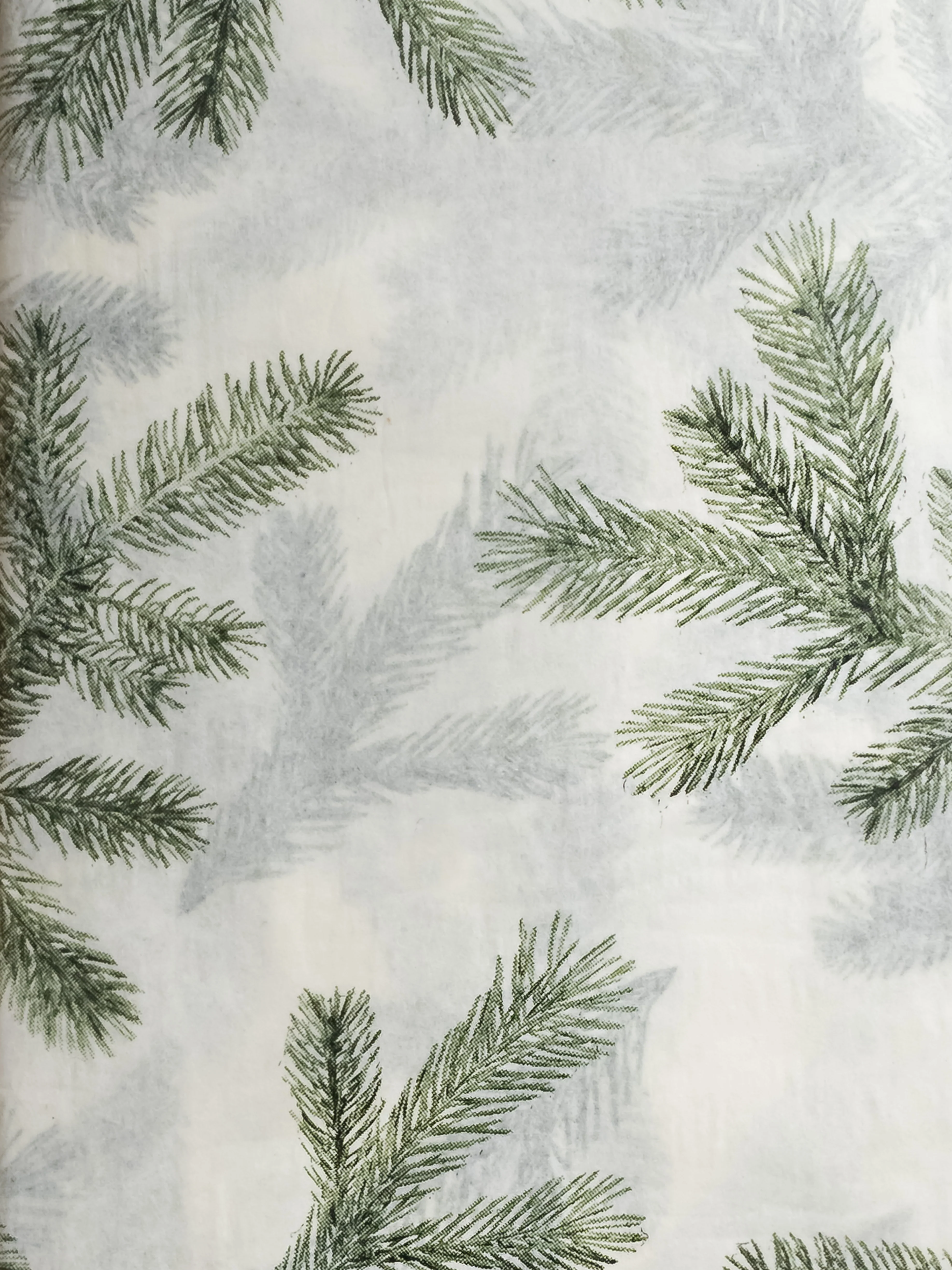 Frasier Fir Scented Tissue Paper