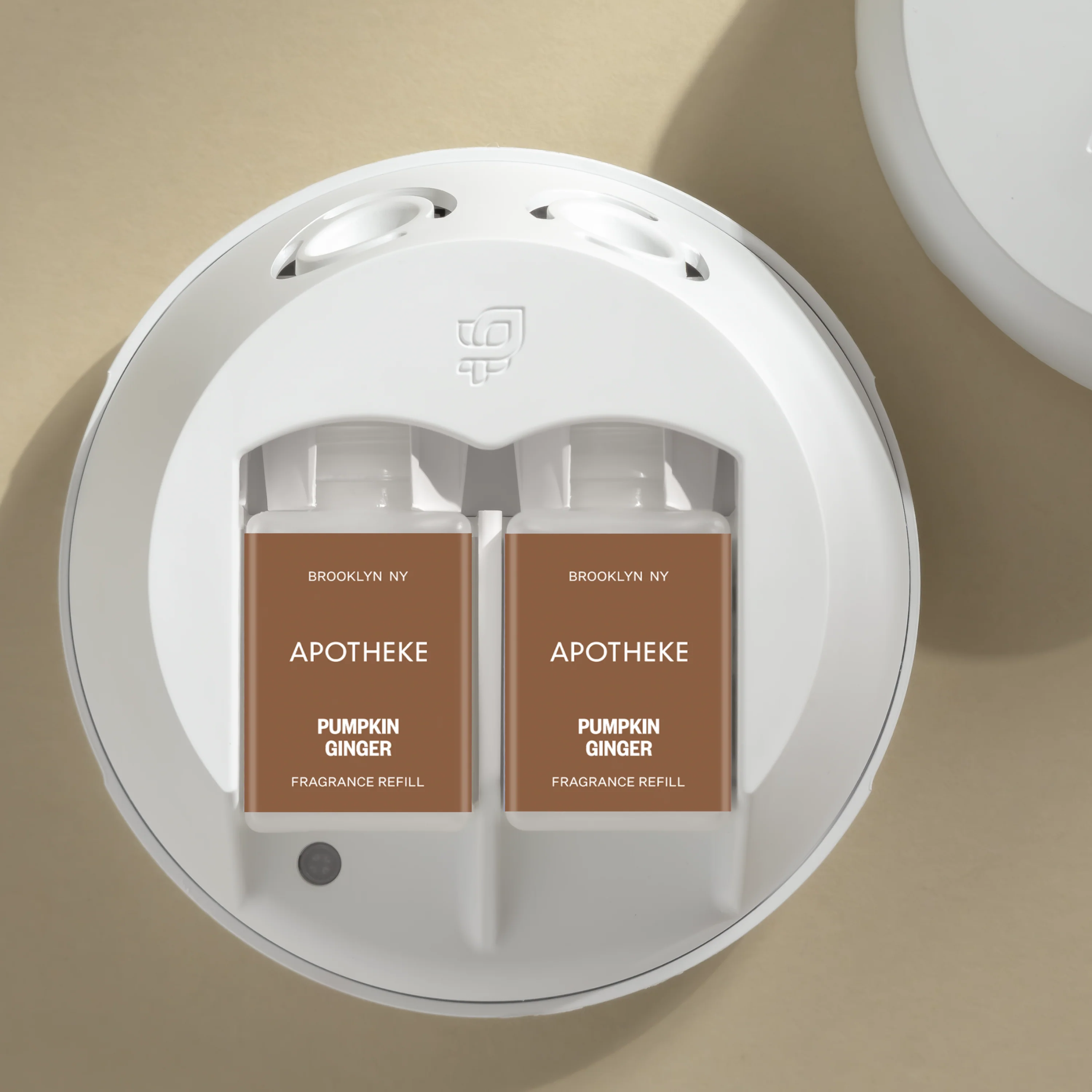 Pumpkin Ginger 3 Pumpkin Ginger