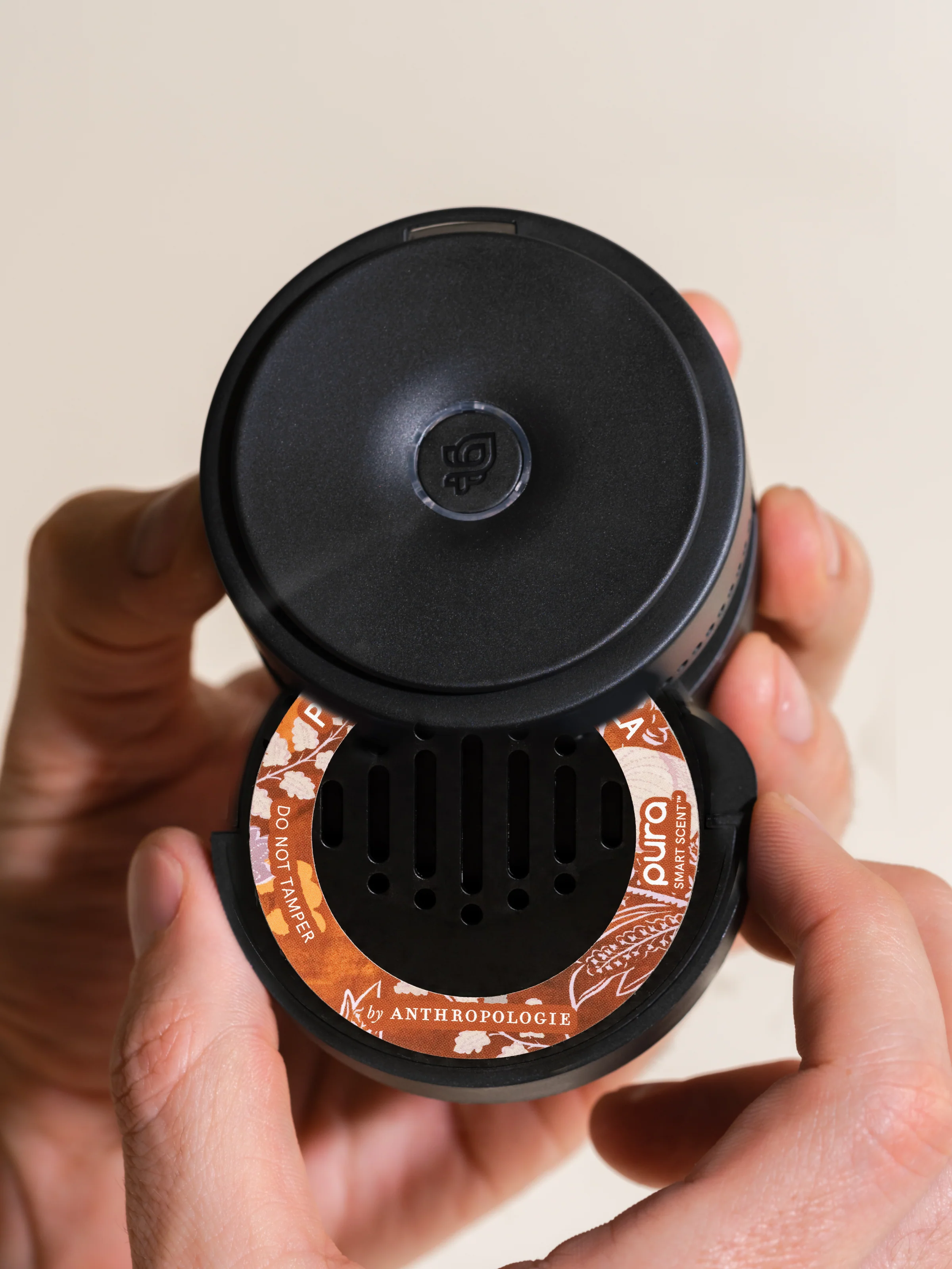 Pumpkin & Sweet Vanilla 3 Pumpkin & Sweet Vanilla