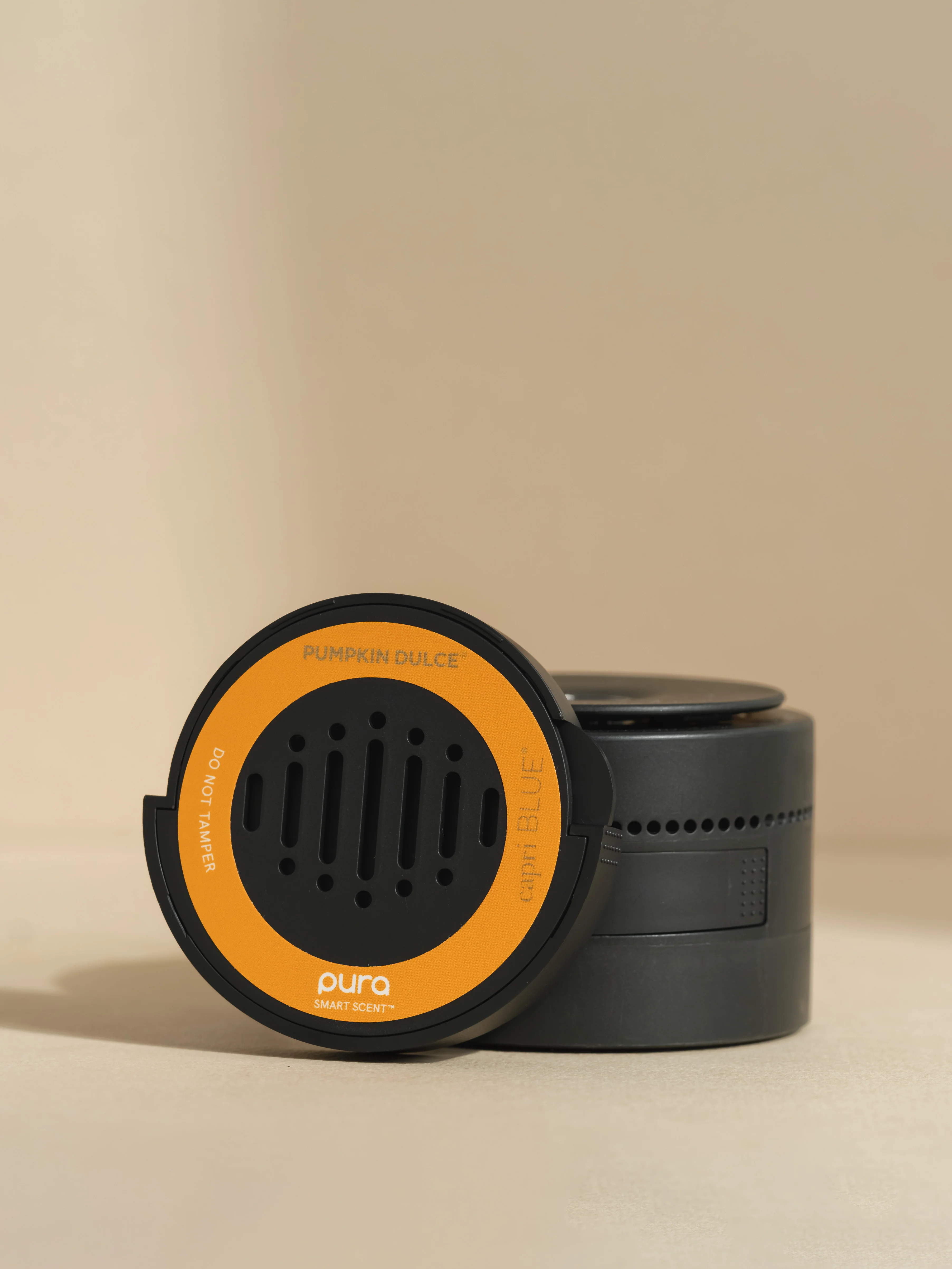 Pumpkin Dulce 4 Pumpkin Dulce