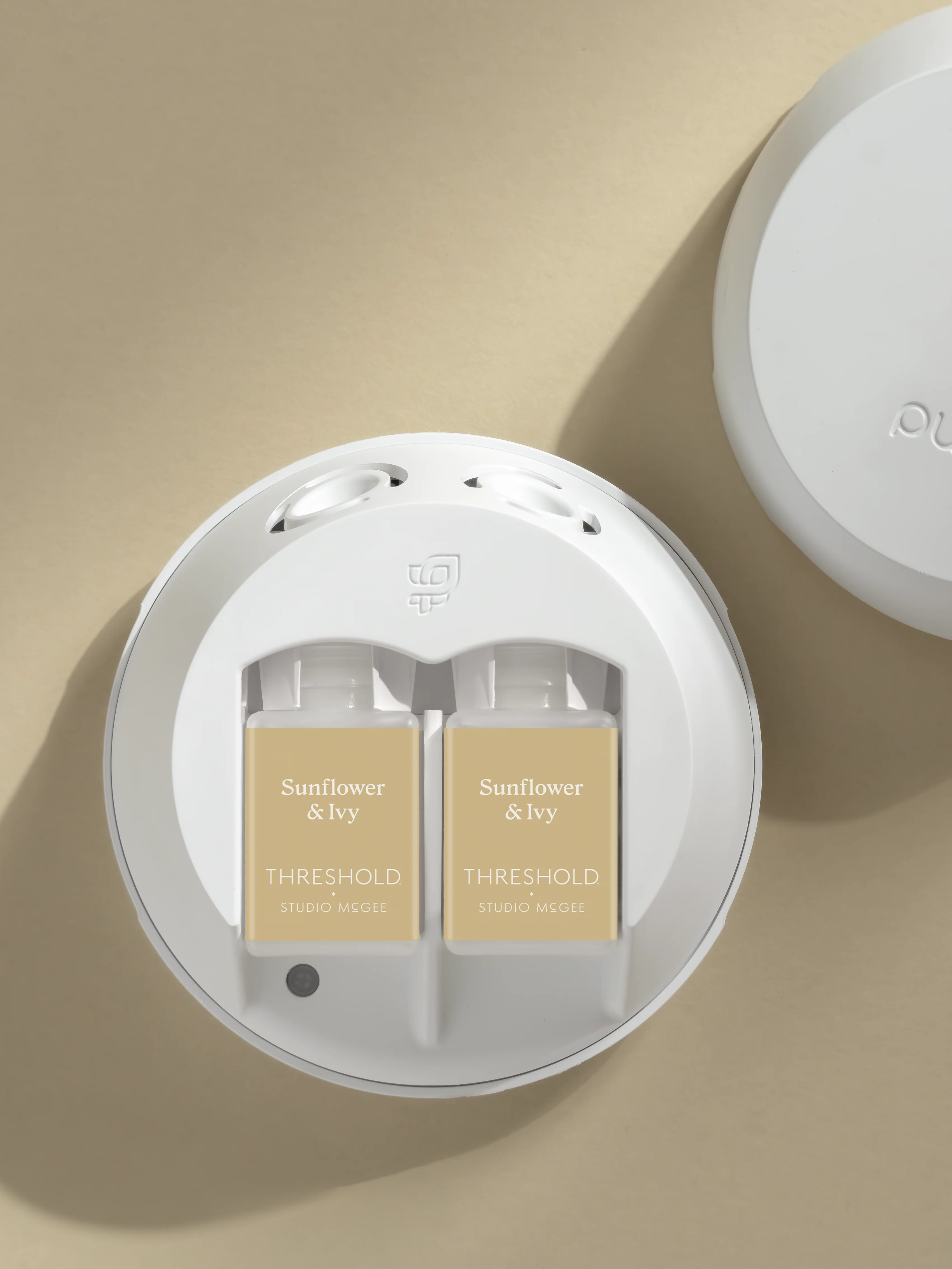 Sunflower & Ivy 3 Sunflower & Ivy