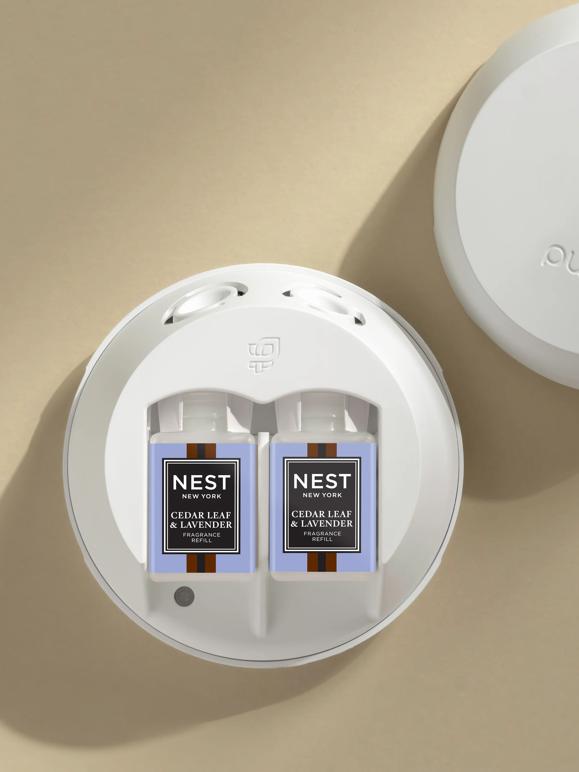 Cedar Leaf & Lavender 3 Cedar Leaf & Lavender