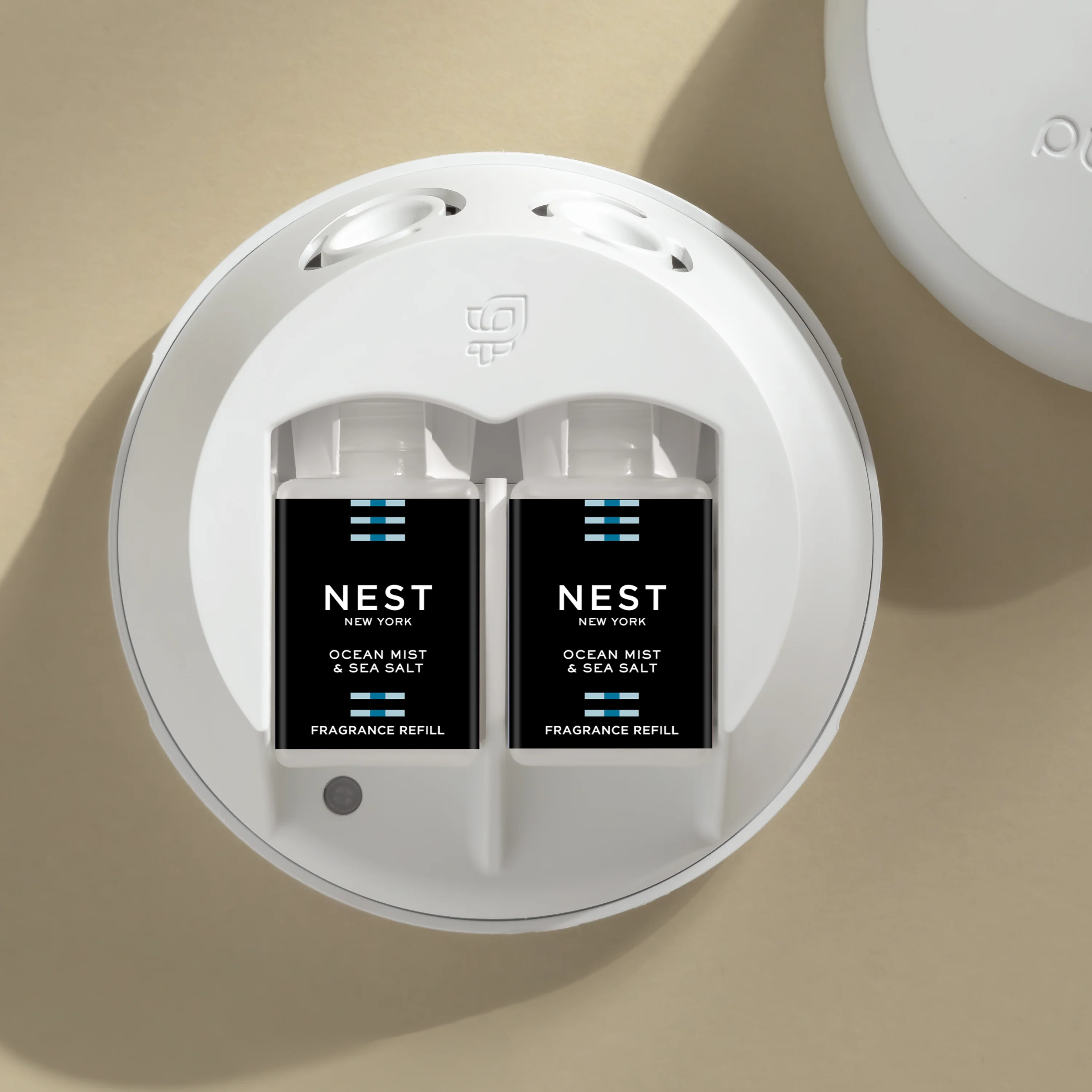 Ocean Mist & Sea Salt 3 Ocean Mist & Sea Salt