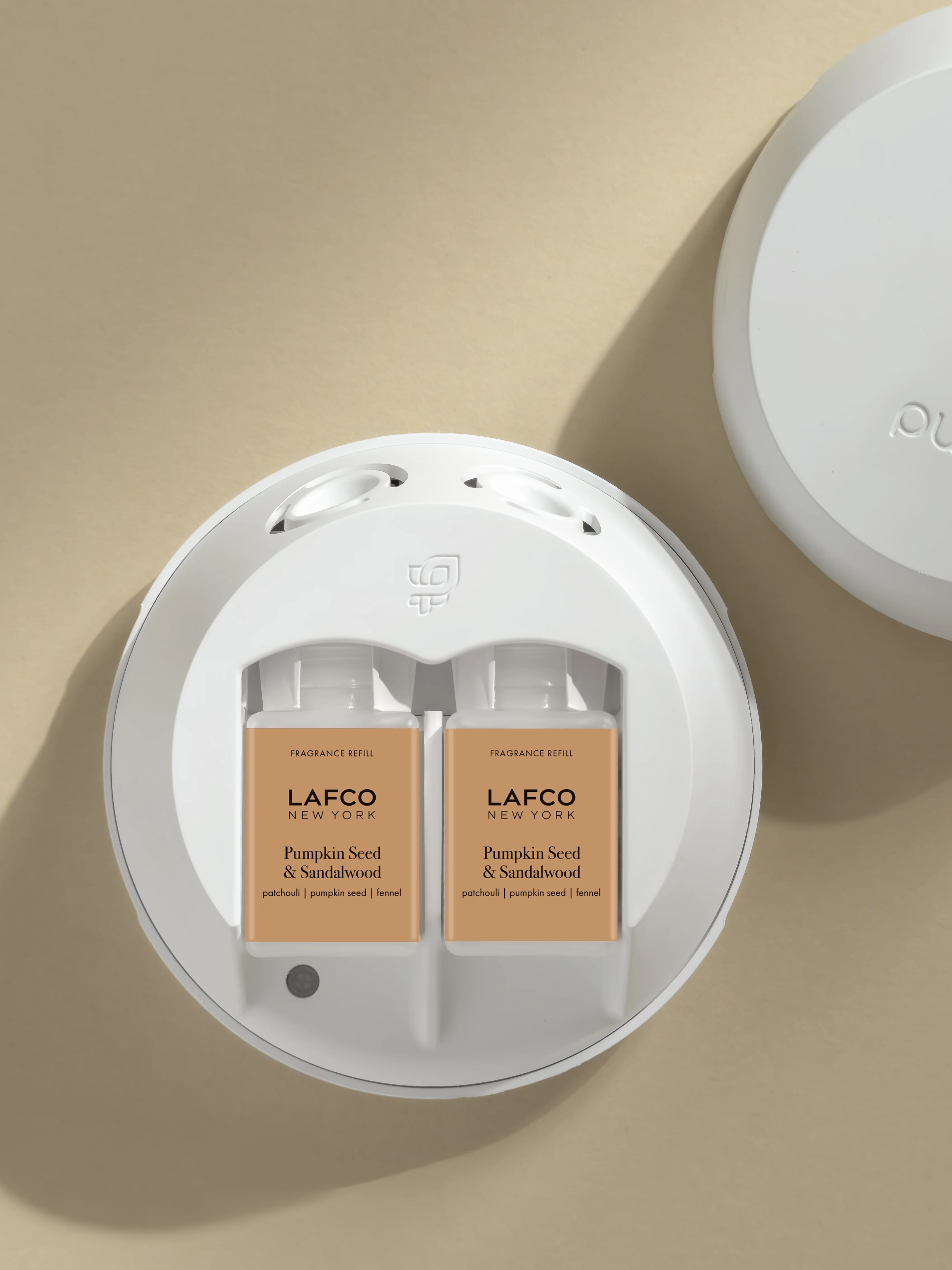 Pumpkin Seed & Sandalwood 3 Pumpkin Seed & Sandalwood