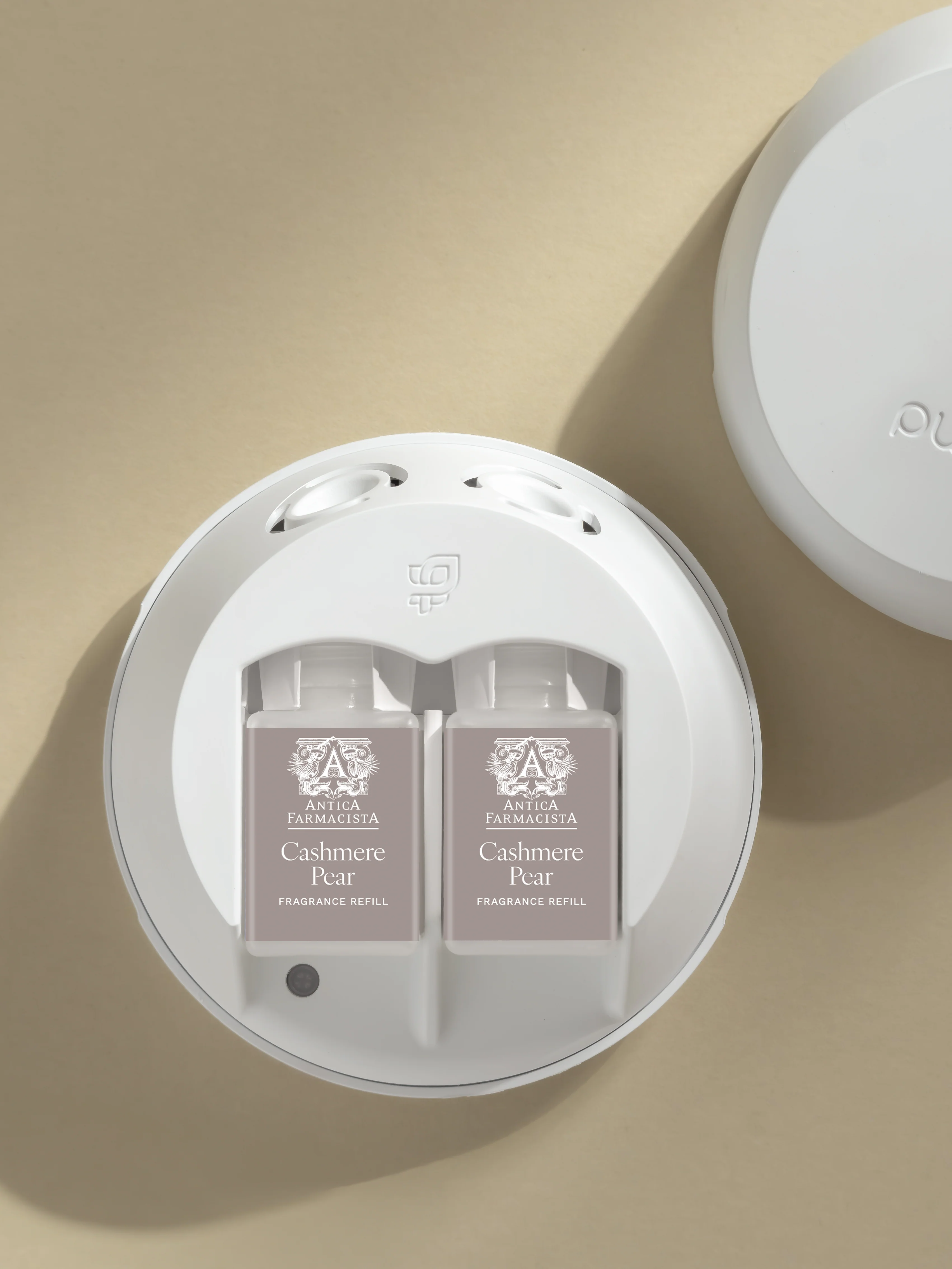 Cashmere Pear 3 Cashmere Pear