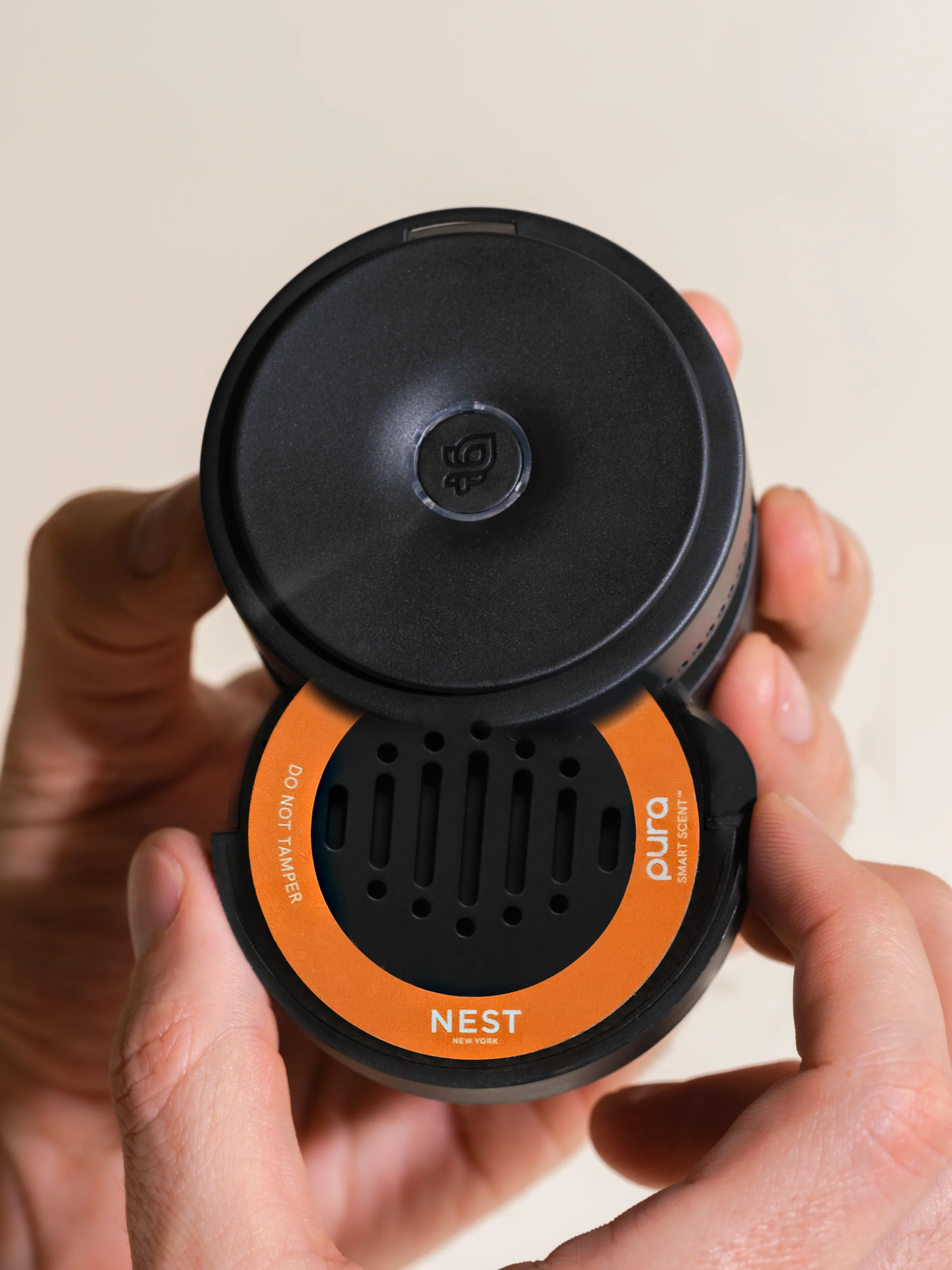 Pumpkin Chai 3 Pumpkin Chai